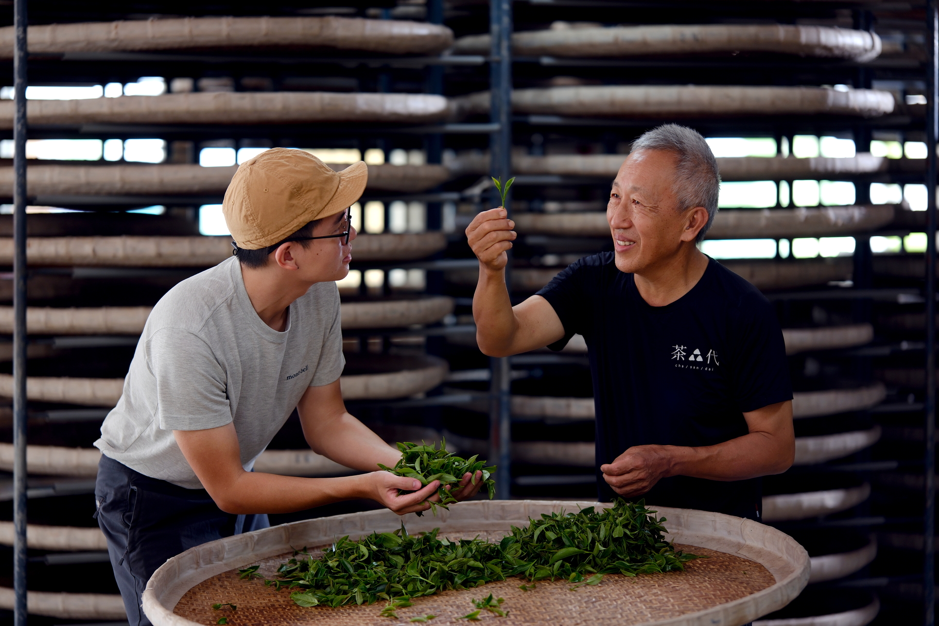 【手揉茶職人體驗】,時間約一小時,遊客可預約手揉茶DIY。