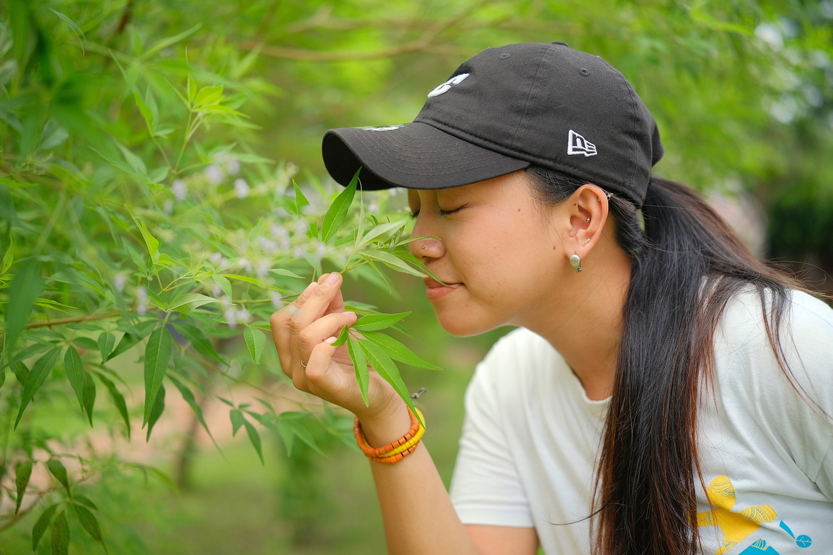 黃荊有一種特異的香氣，搓揉枝葉後再聞，更是難忘。