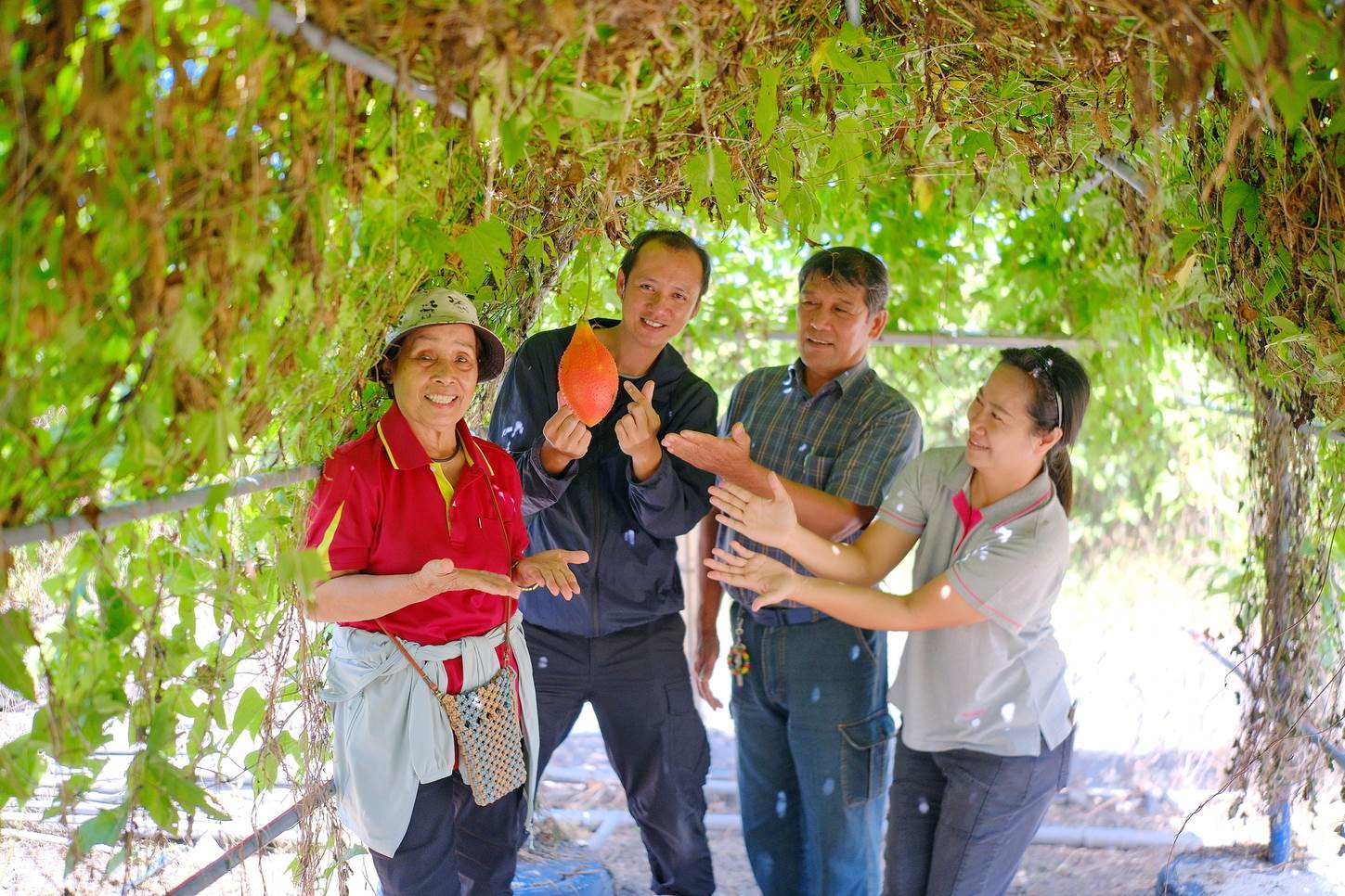 遊客看到棚架上木虌果本尊，都開心地要與其合影。