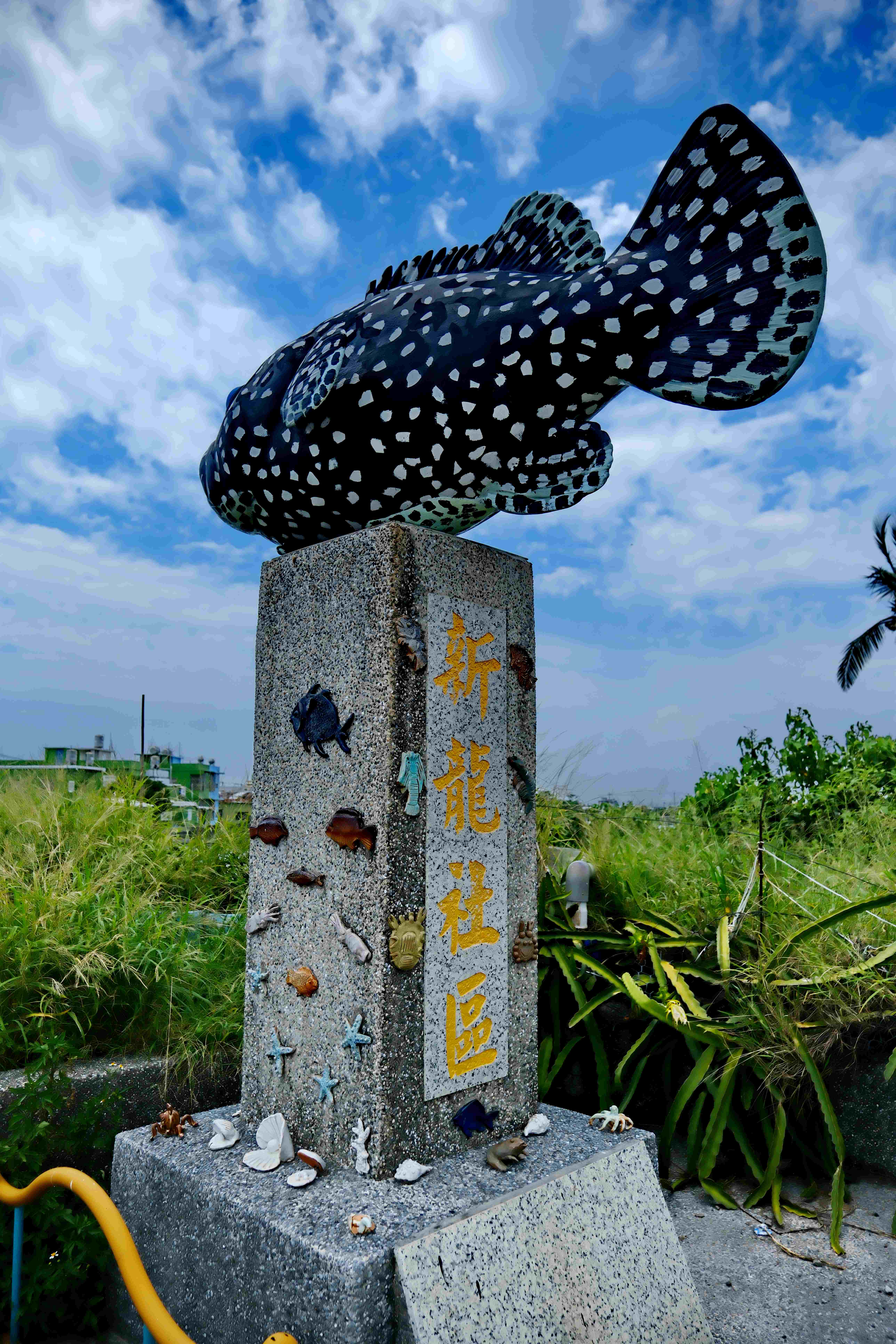 看到「新龍社區」入口處的龍膽石斑魚地標，就到達了龍膽石斑的故鄉。