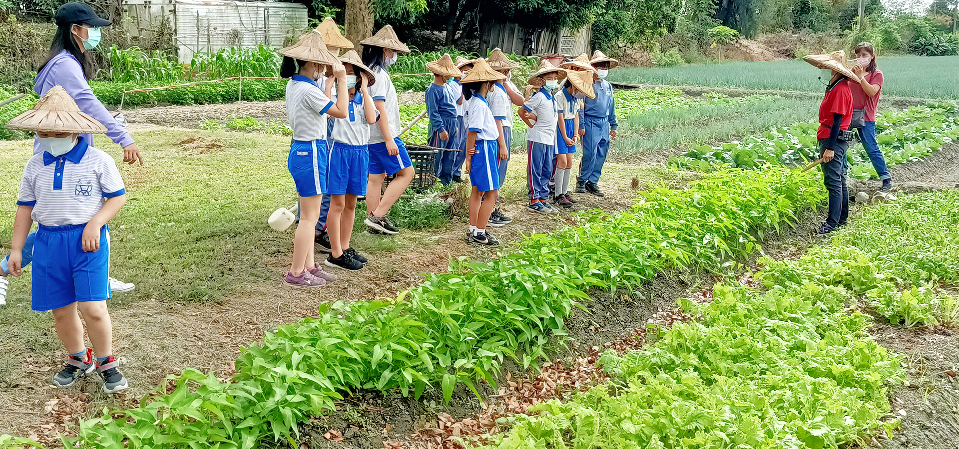 農事體驗(當季蔬果採摘)