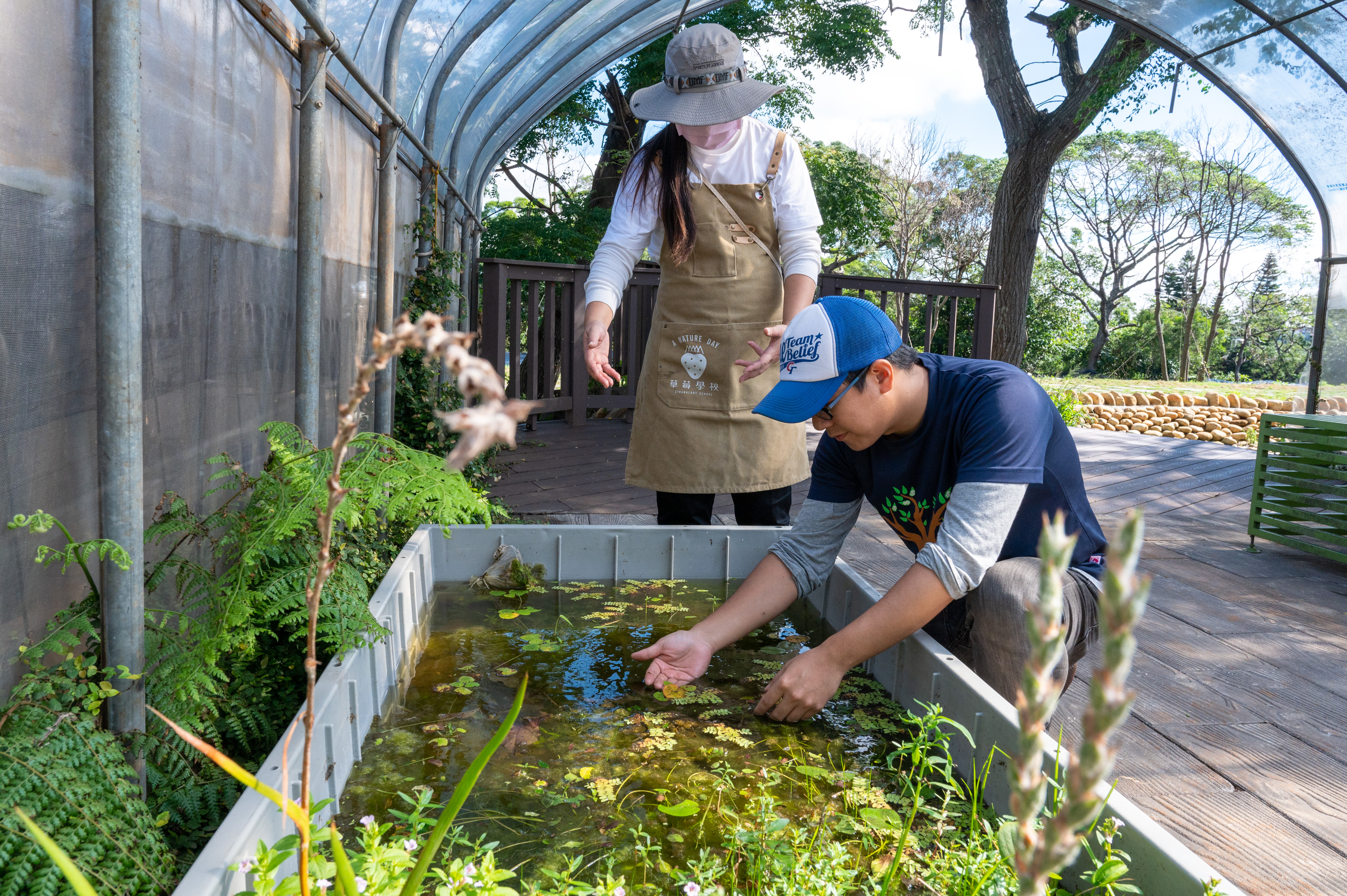 水生植物介紹跟復育也是園區非常棒的課程。