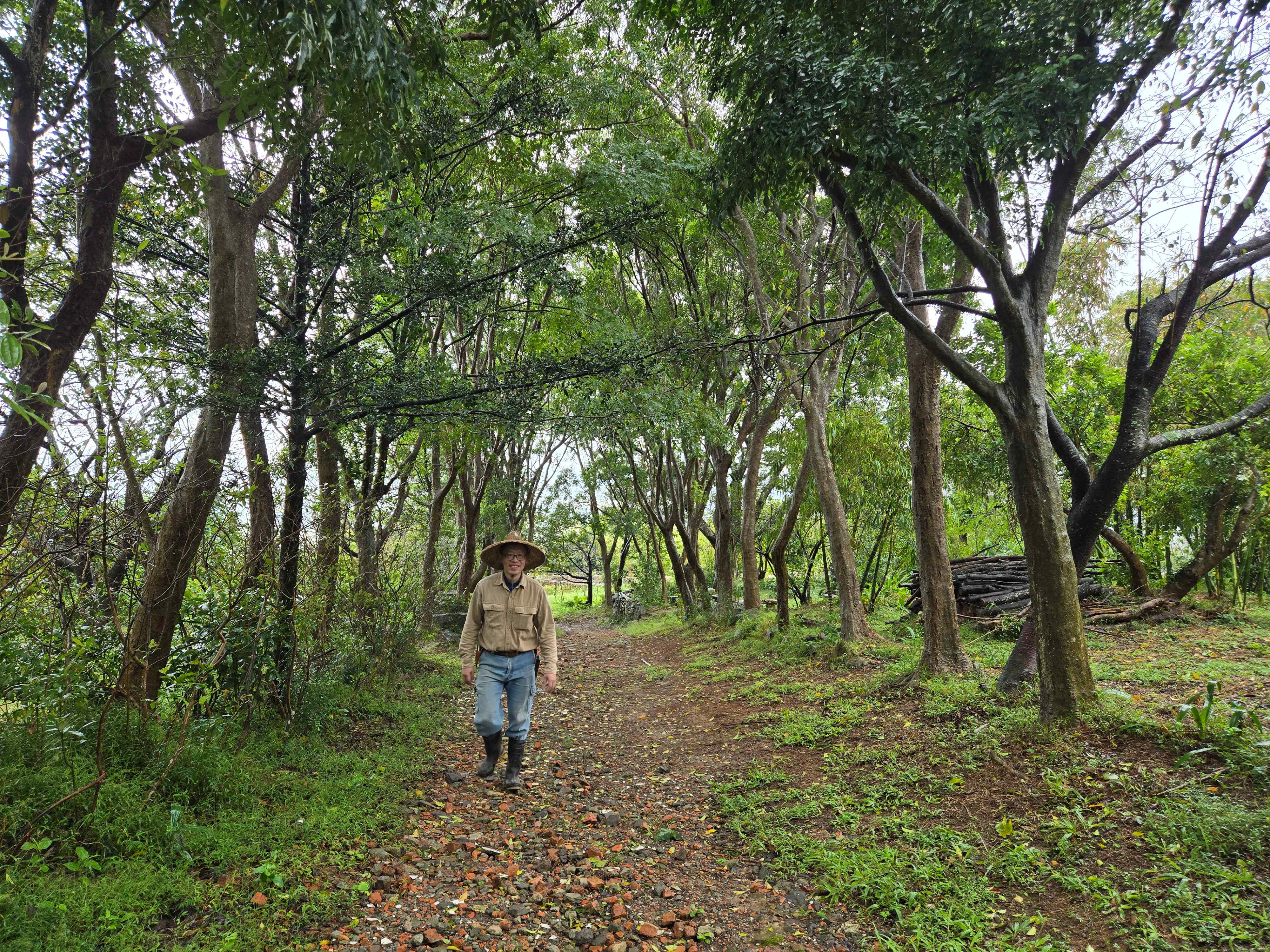 二崎生態休閒農場位於挑炭古道上，現在還保留通道。