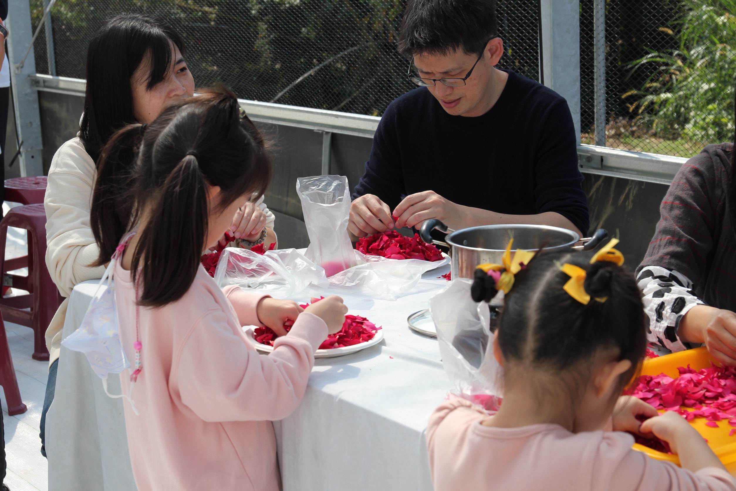遊客們在體驗教室動手處理新鮮玫瑰花瓣，為手作玫瑰花醬做準備，現場充滿花香與歡笑聲。