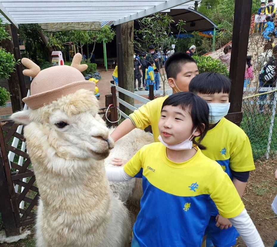 羊世界的校外教學已有好口碑,園區內有多種動物像是動物遊樂園。