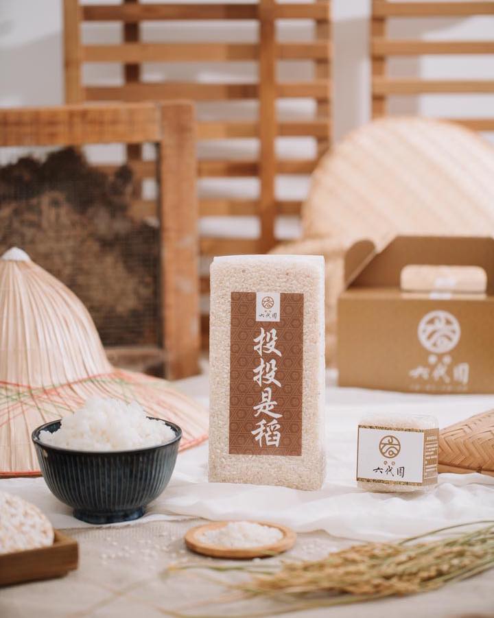 八仙六代園稻米以無毒栽培方式耕作。