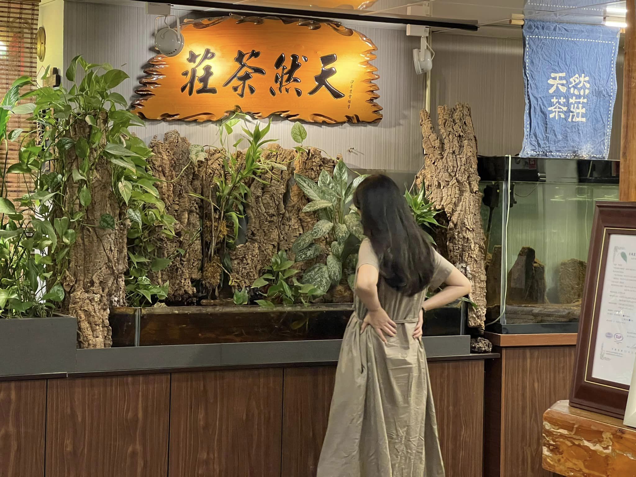 天然茶莊店內一隅