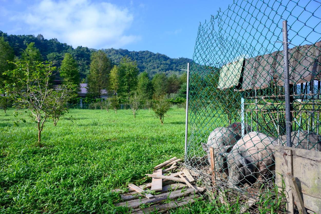 戶外區域有1400多坪，種植不同的食用植物。