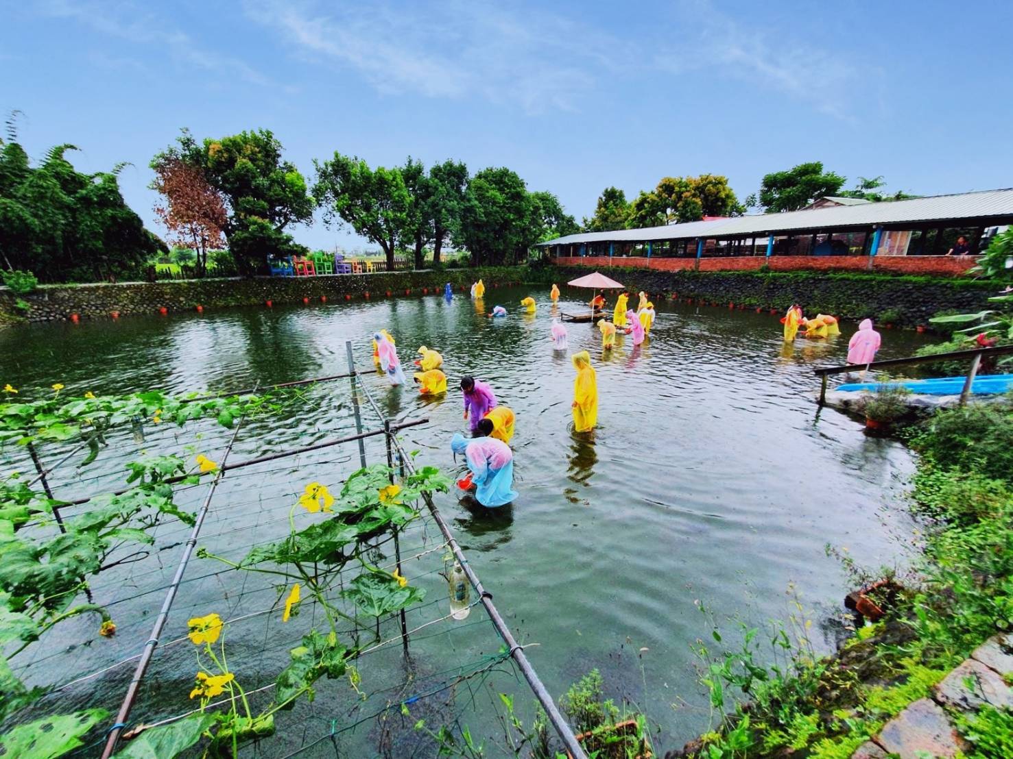 下水體驗「摸蜆仔兼洗褲」