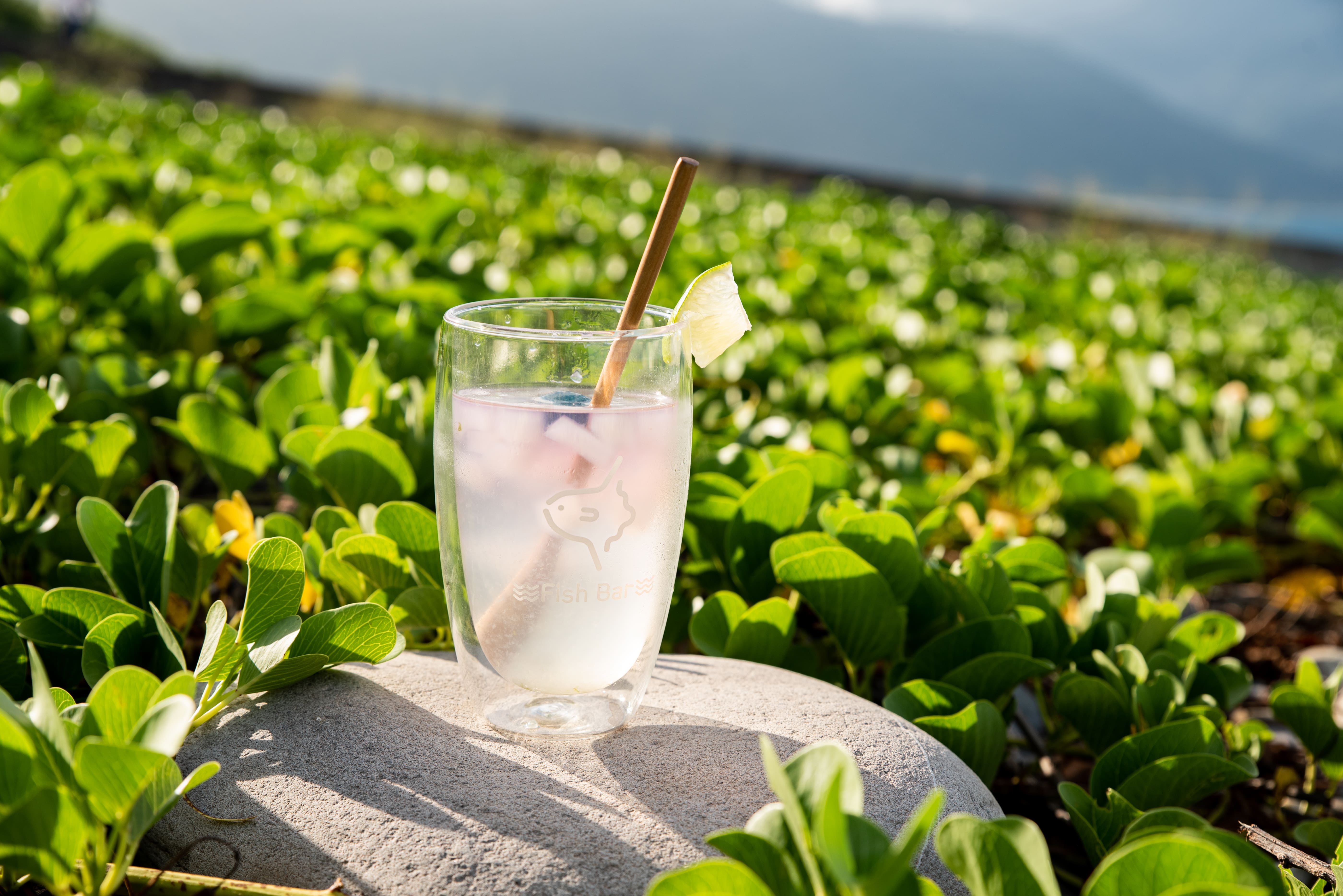 每一份冷凍魚包裝上清楚標示著中文名、俗名、處理日期、生產者、烹調方式等資訊。(洄游吧食魚體驗館提供)