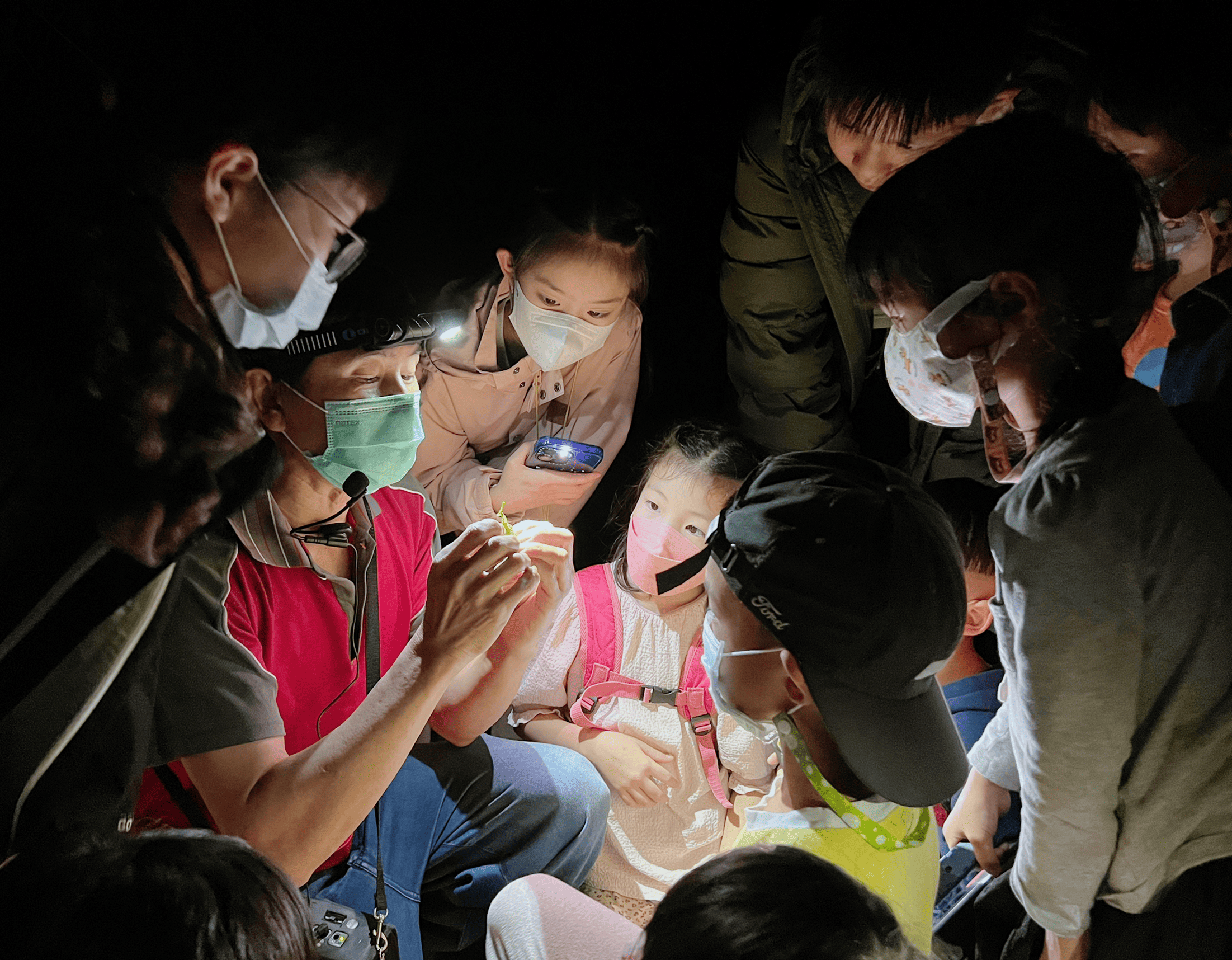 生動有趣的專業夜間生態導覽