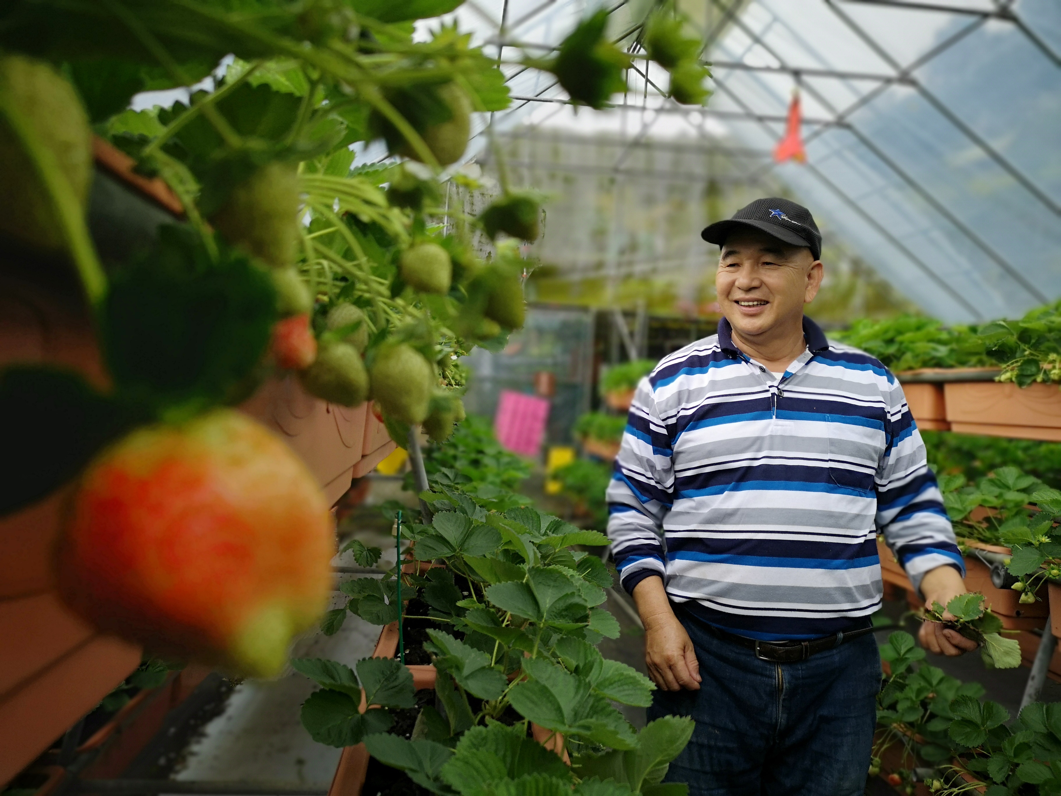 農場主人郭正勇細心照顧園區蔬果。