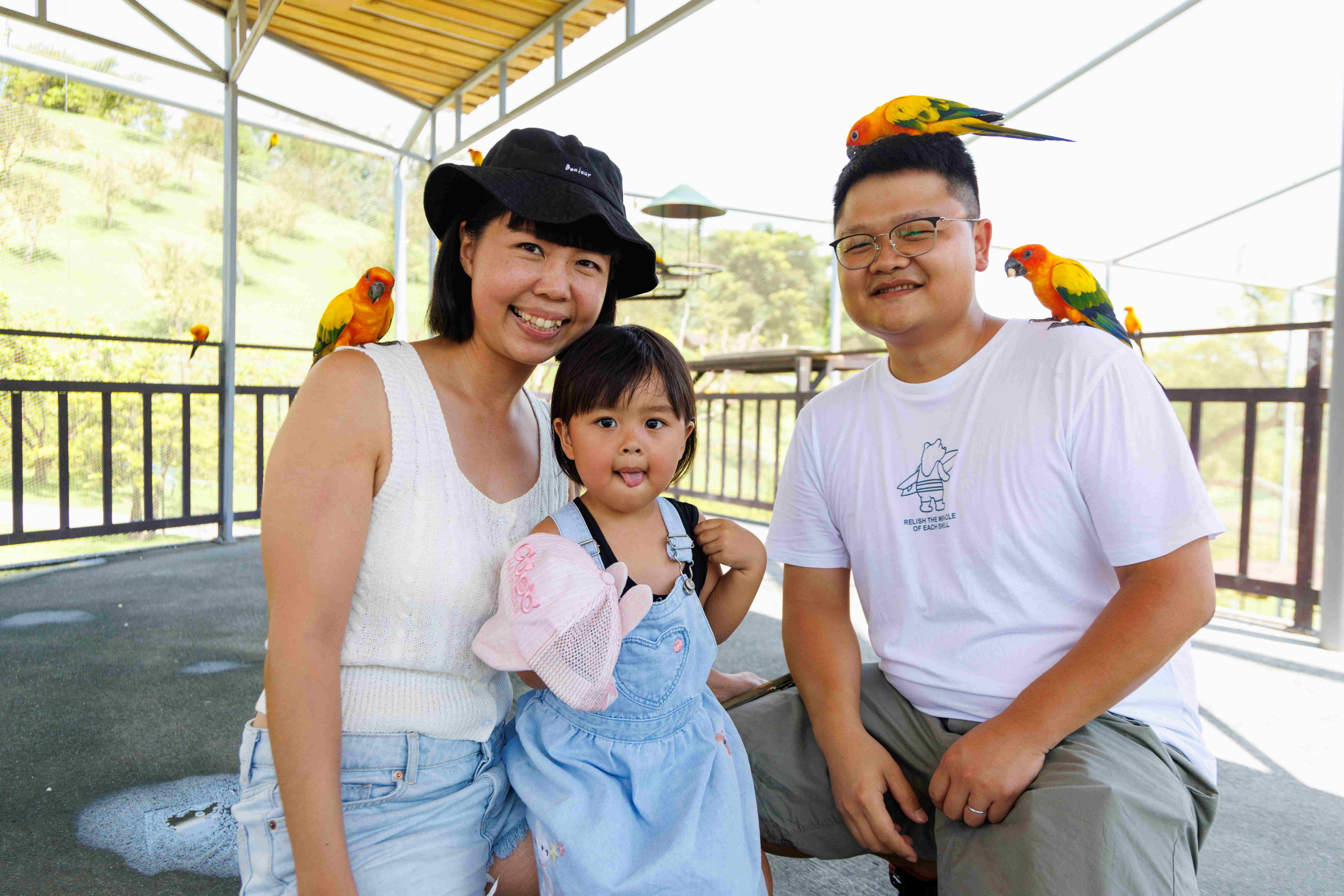 鸚鵡森林裡可以近距離與鸚鵡互動。