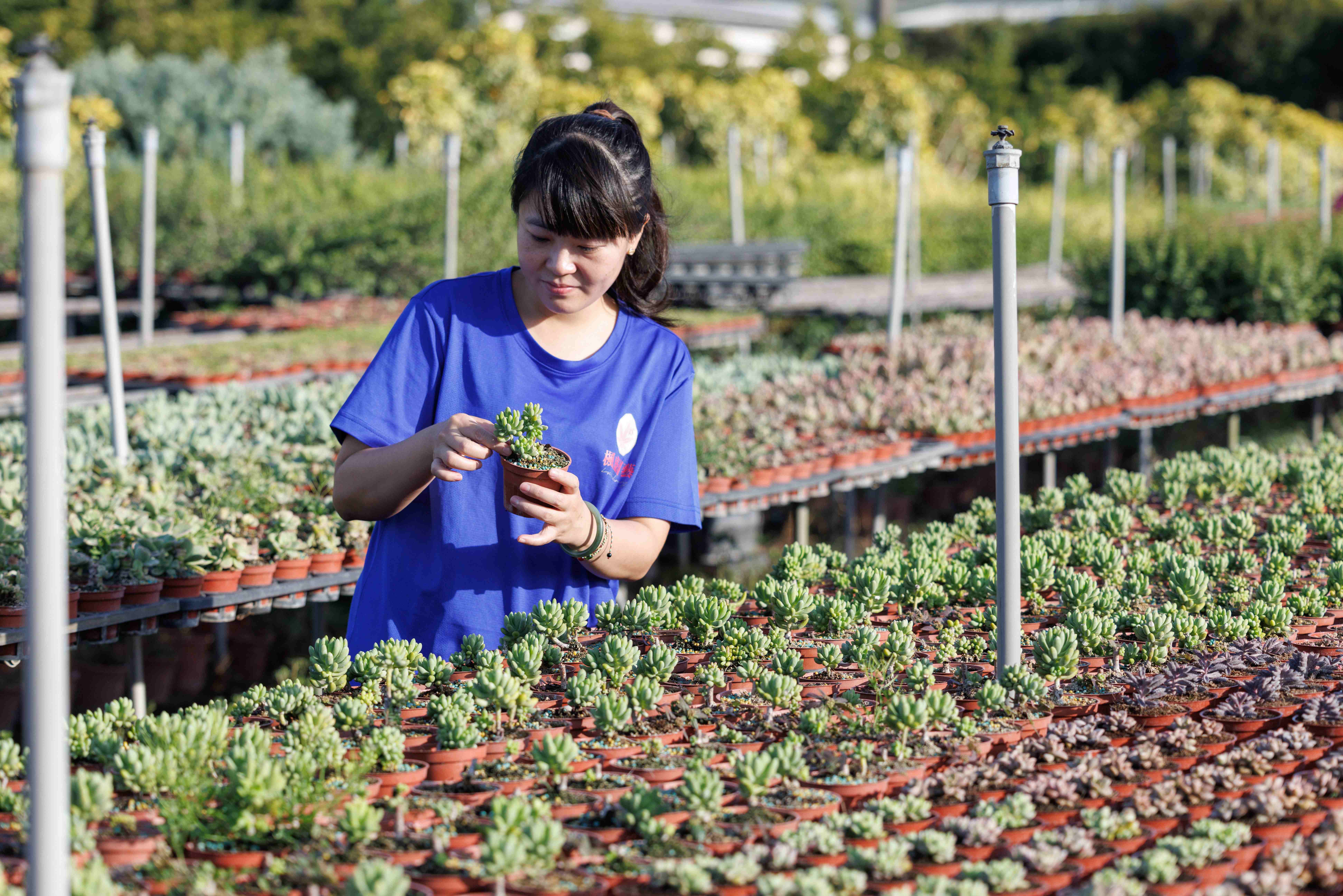 因她而有溫度，園區也開啟了更親近的手作體驗。