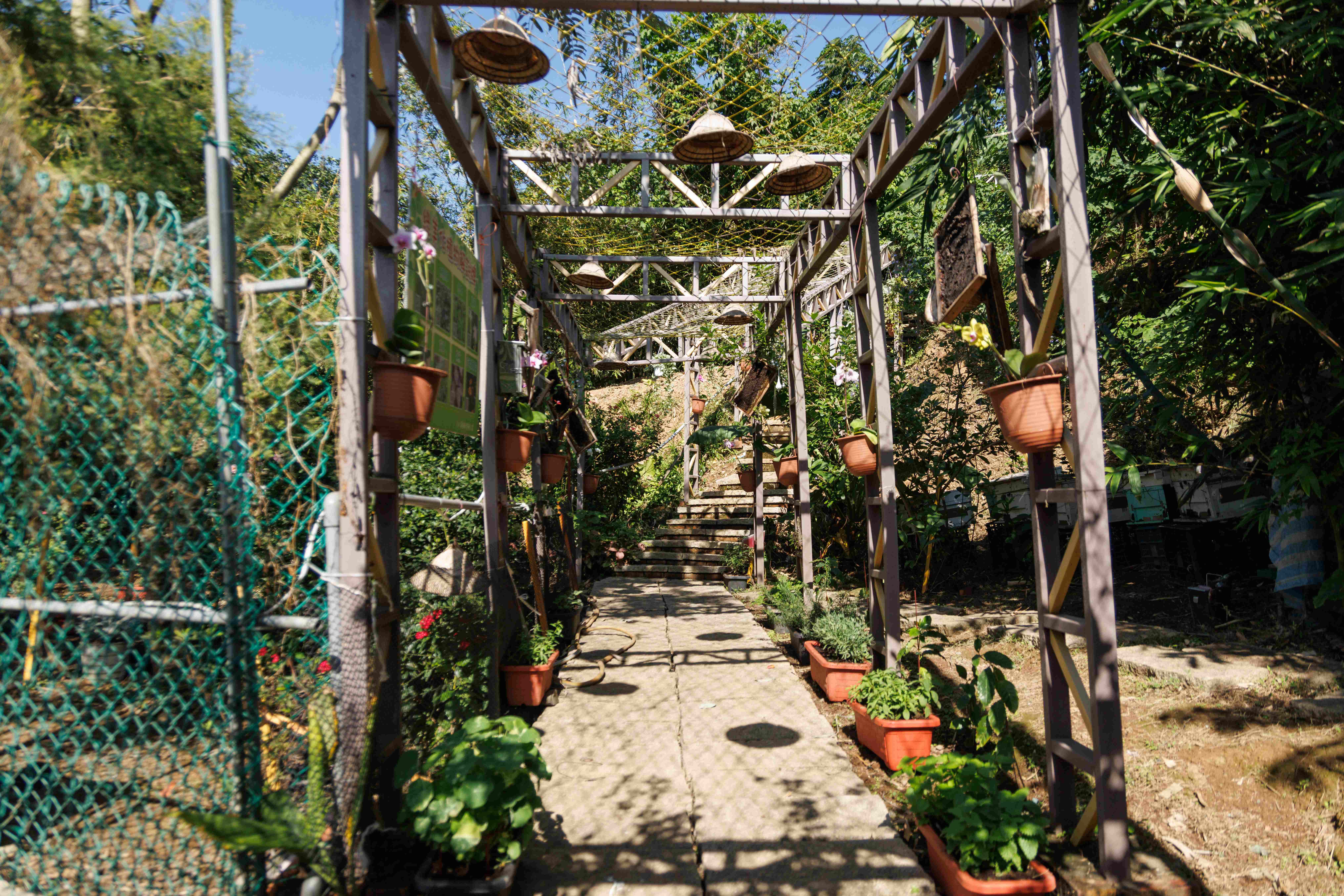 農場入口以棚架與植栽打造生態廊道，展示茶籽油、蜜蜂與雞共同形成的循環農法，也作為遊客體驗活動的主要動線。