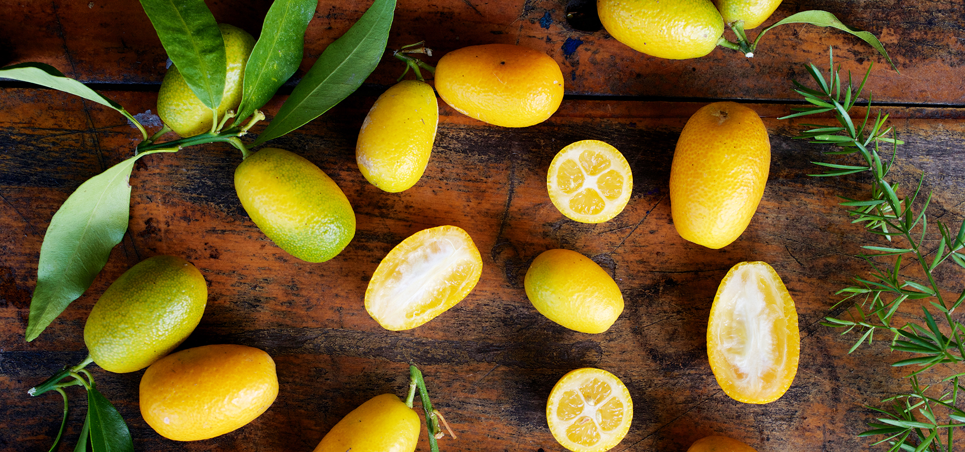 場內生態多樣性資源豐富