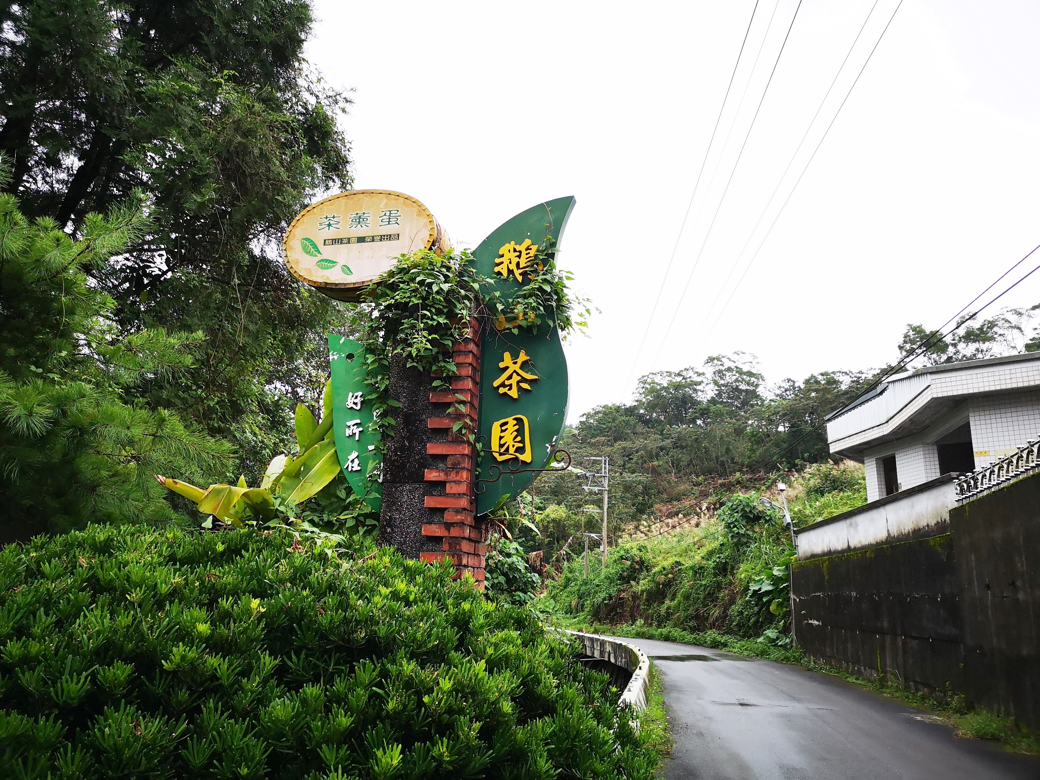 鵝山茶園位於地理環境佳的冬山鄉。