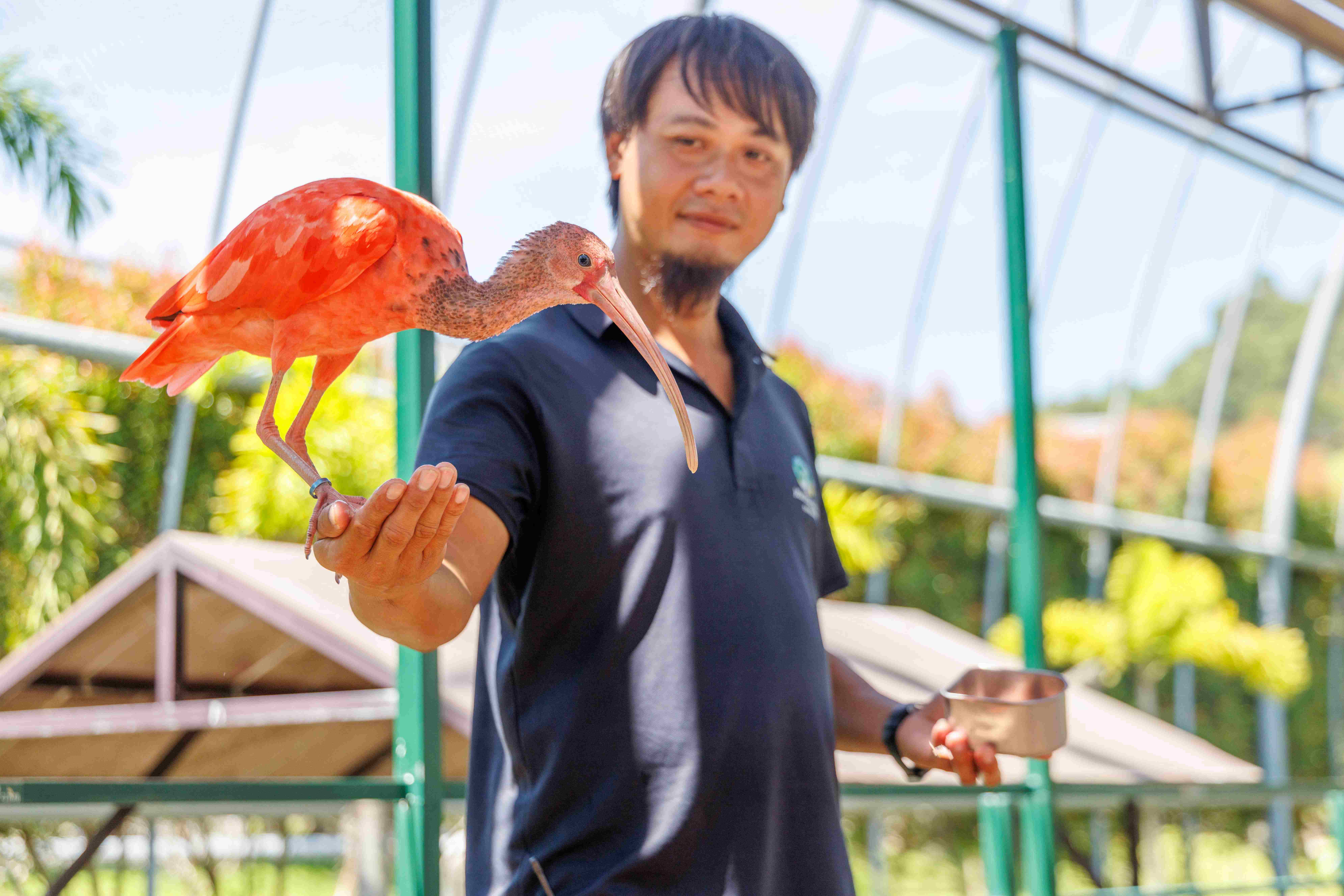 從毛色與姿態，都可以感受得到動物們在這裡過得很開心。