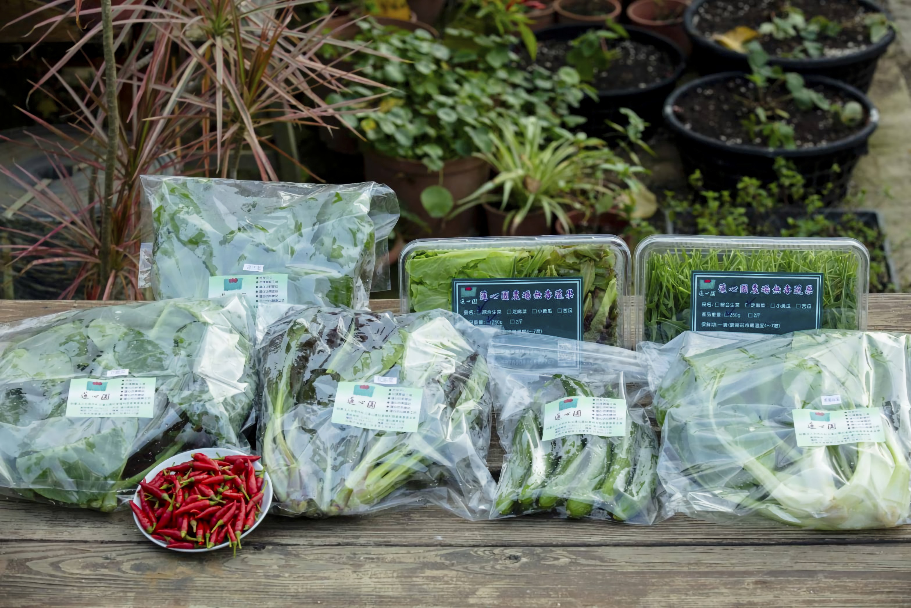 各類的生鮮蔬菜及可以生食的生菜盒，是蓮心園的主力產品。