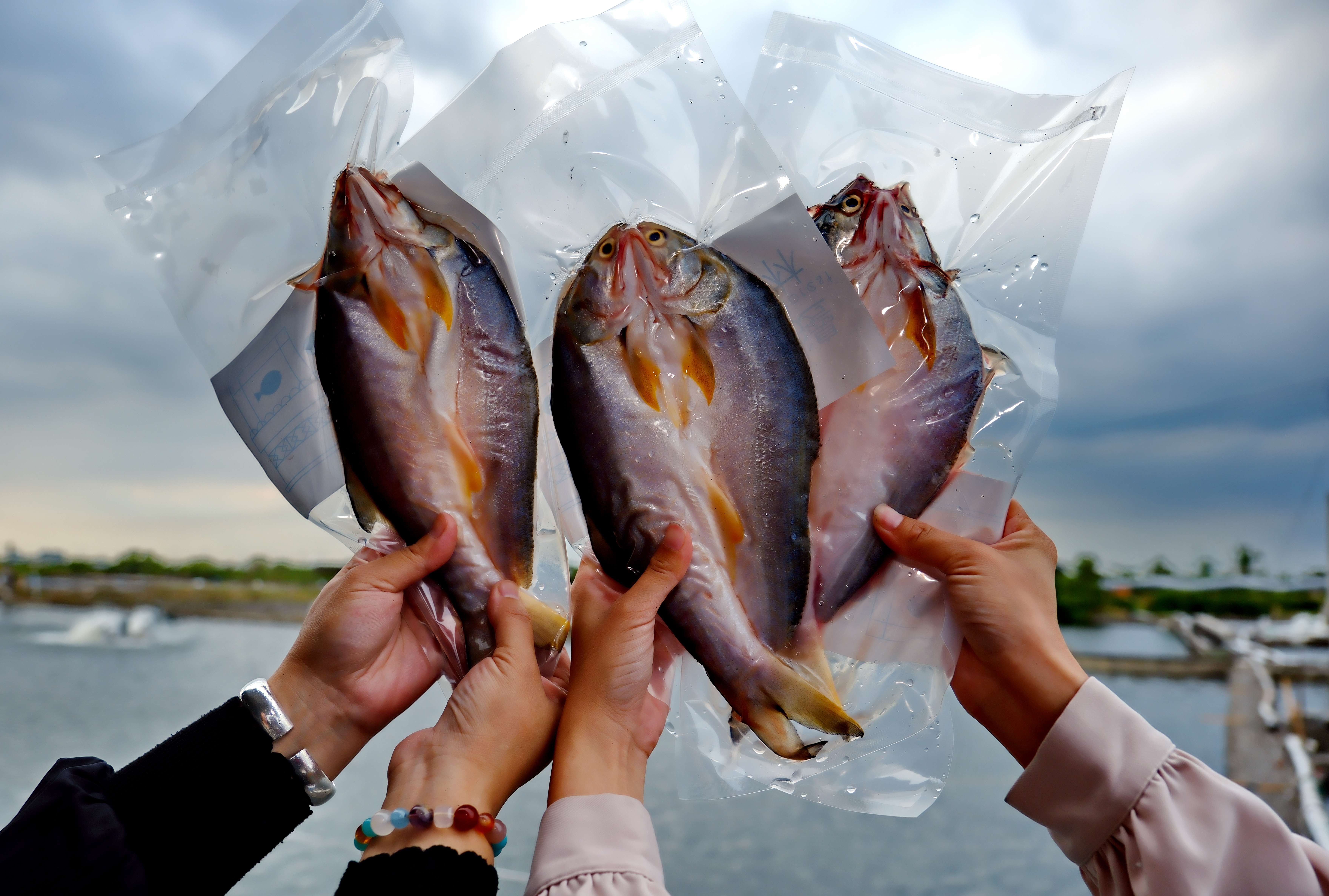 漁產製品「午仔魚一夜干」真空包裝，可寄送到府。
