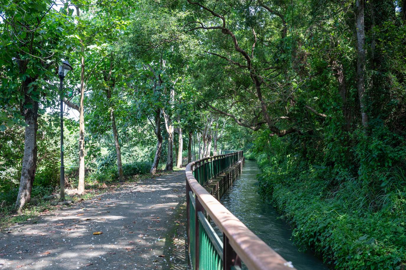 步道旁就有潺潺流水，加上樹蔭遮天，花季時遊人如織。