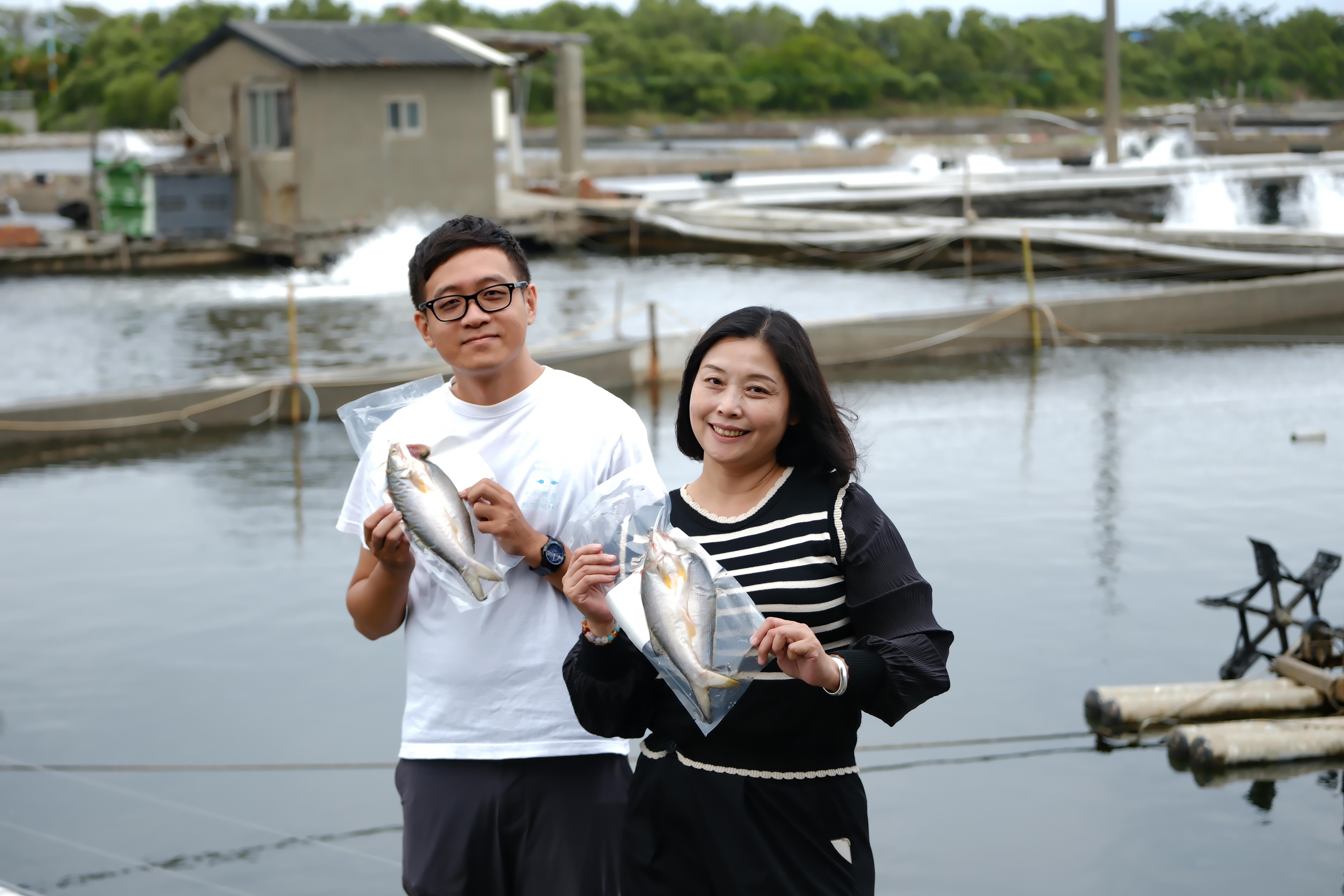 午仔魚一夜干 DIY，遊客熱門首選。