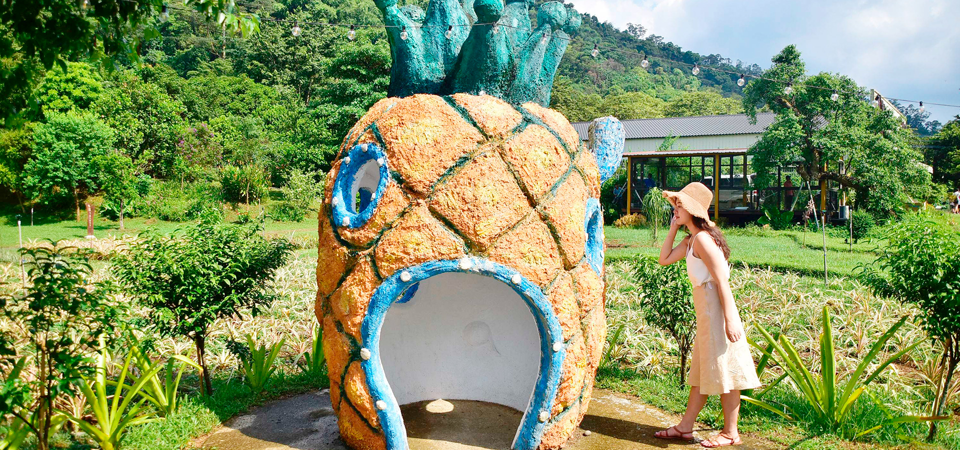 場域最顯眼的便是在大草皮旁的鳳梨屋