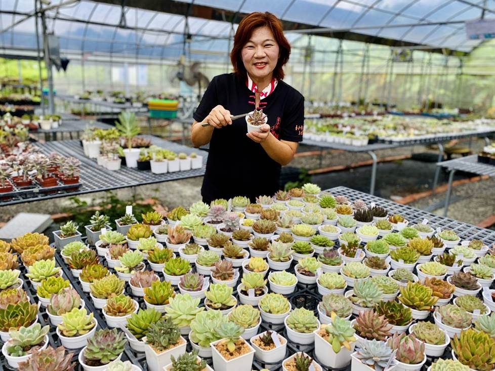 主人家莊和宜愛肉成痴，開發紓壓又獨特的農遊體驗。