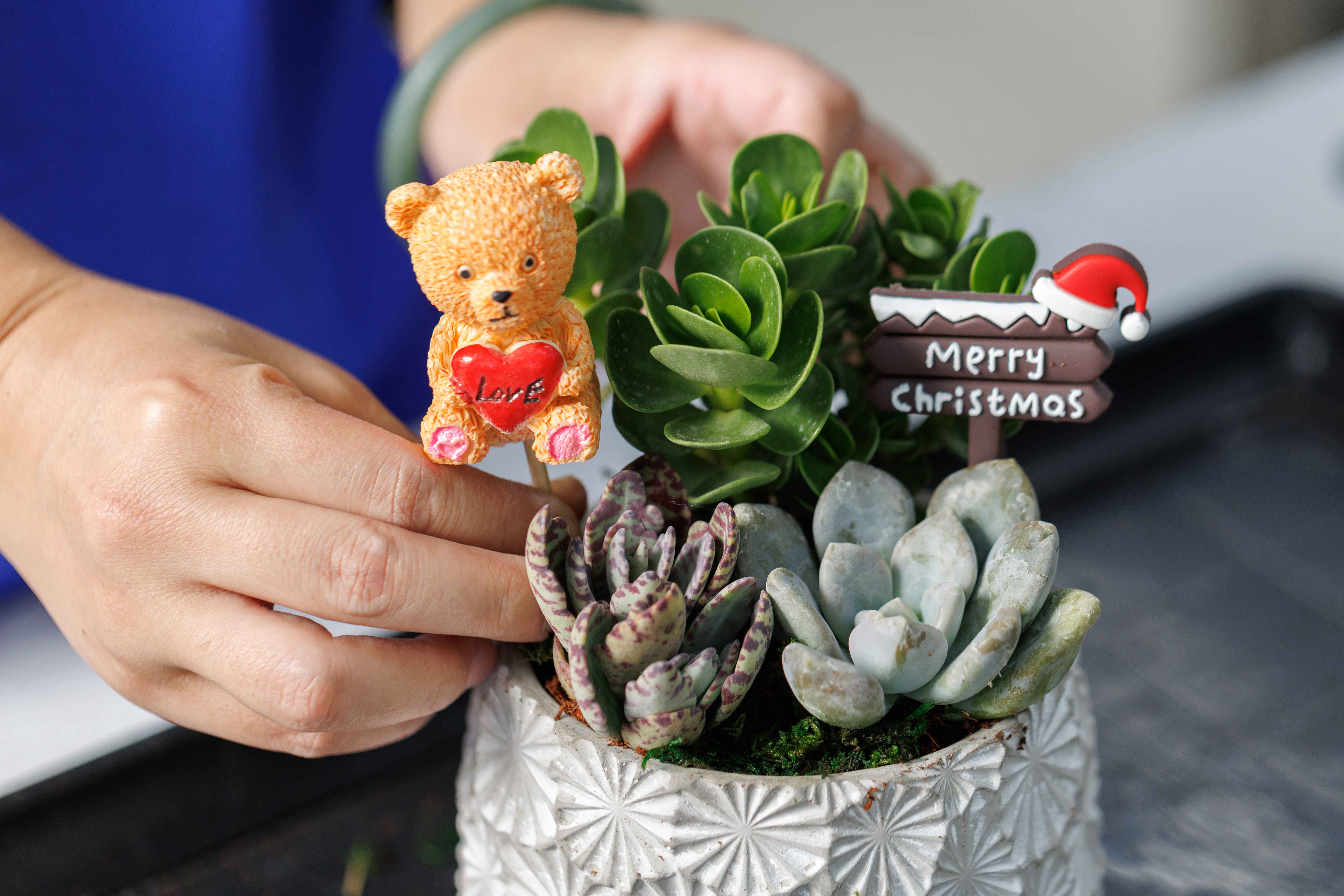 物點綴多肉盆栽，手作讓植物更有故事。