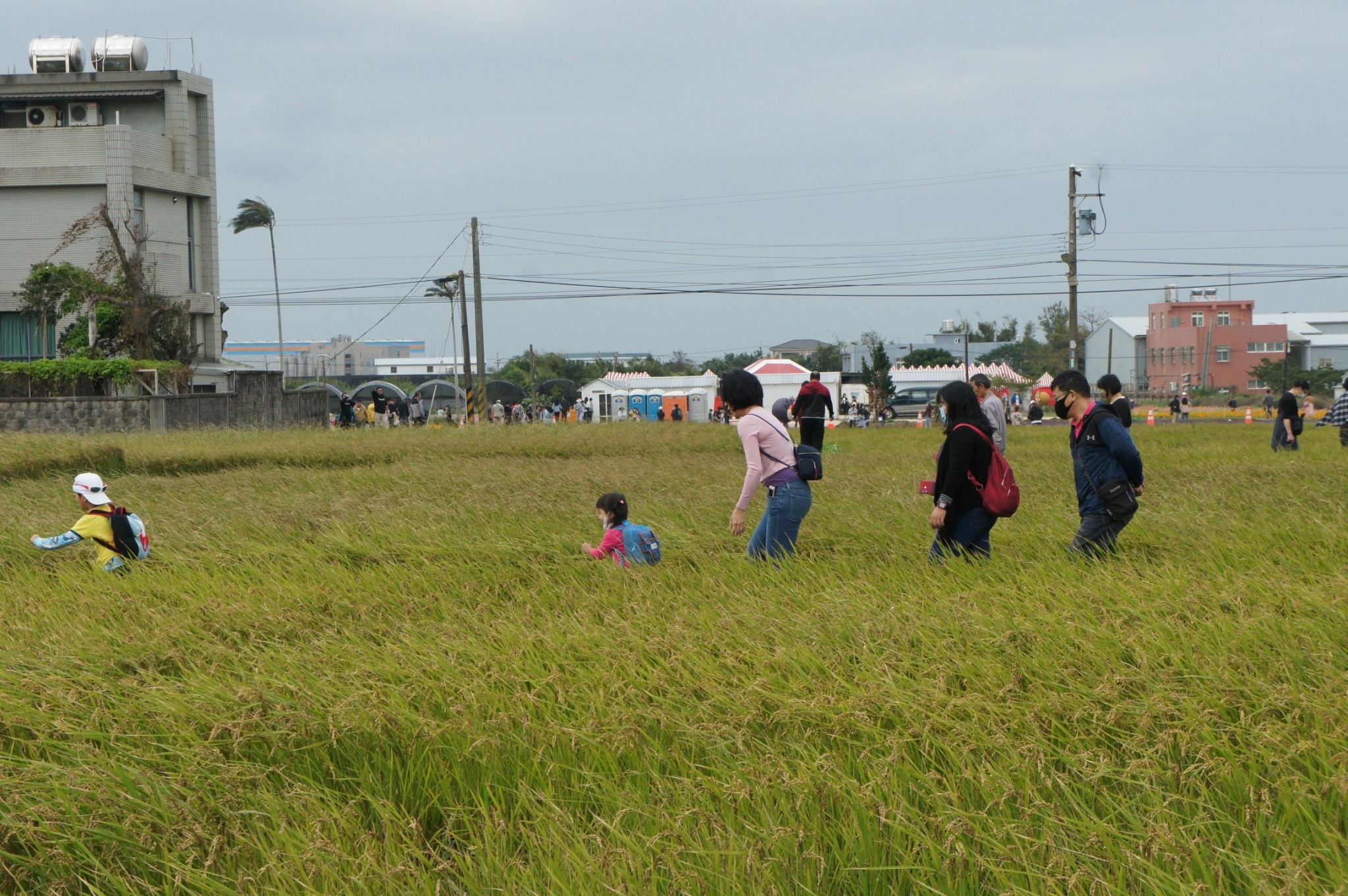 農場加入「地方創生」行列,在所在地的溪海休閒農業區休耕期間,與其它業著合作推出花卉觀光及農事體驗活動,吸引民眾參加。