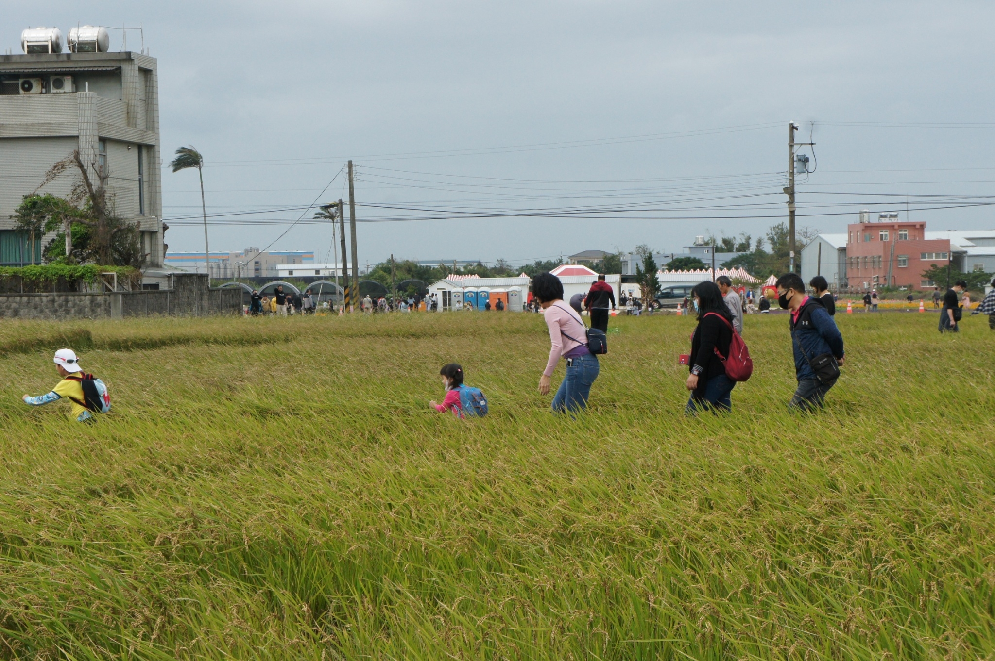 農場加入「地方創生」行列，在所在地的溪海休閒農業區休耕期間，與其它業著合作推出花卉觀光及農事體驗活動，吸引民眾參加。