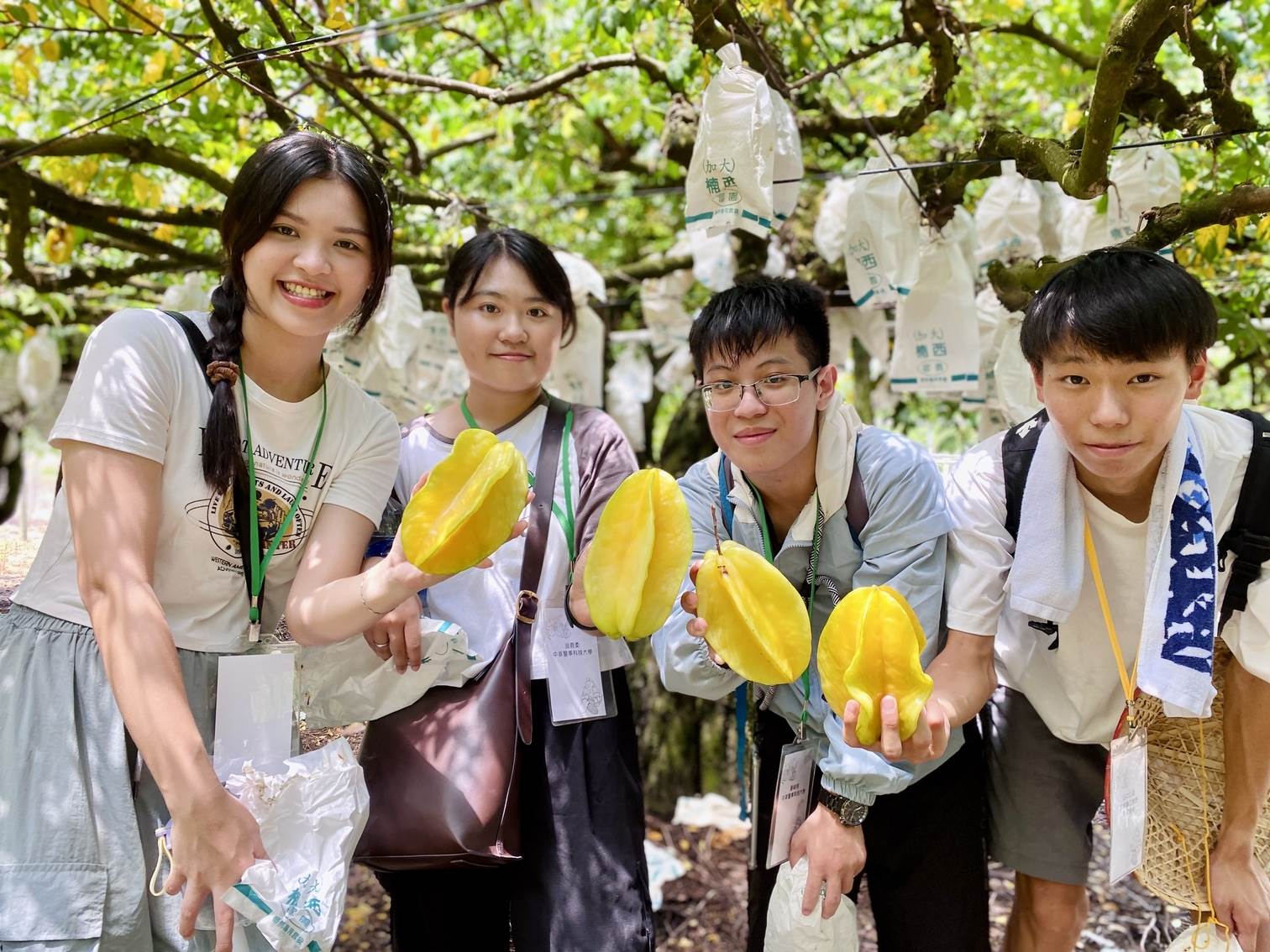 一年四季都有採果樂，連日本遊客也慕名而來。