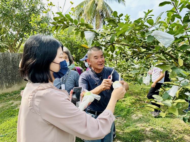 採果樂每人收費150元，深受親子歡迎。