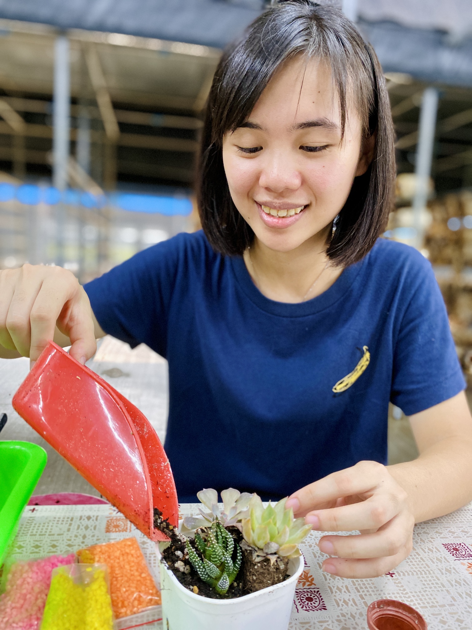 菇場廢棄木屑再利用，變成多肉換盆體驗。