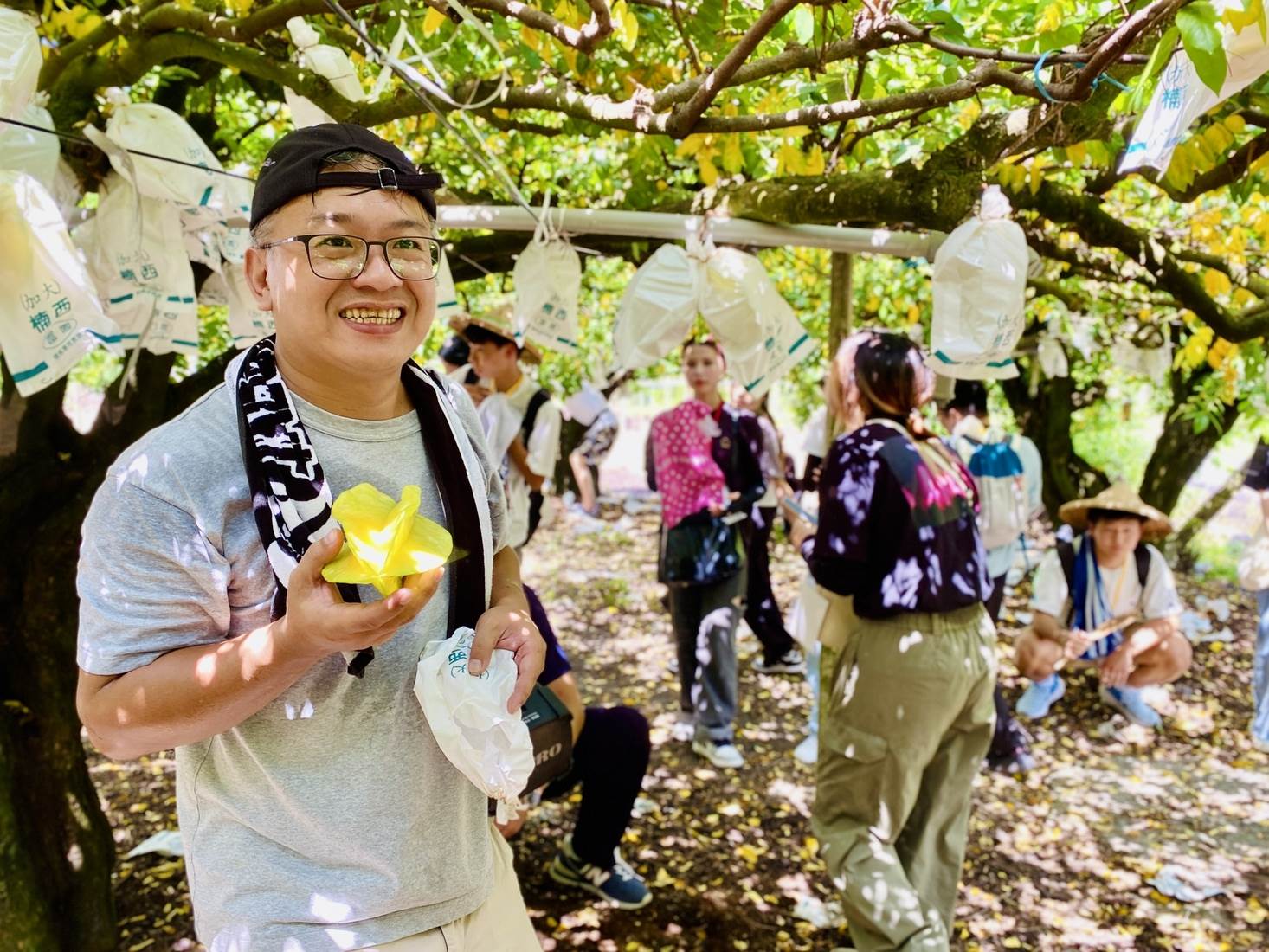 「密枝楊桃」名揚海外，個個結實飽滿。