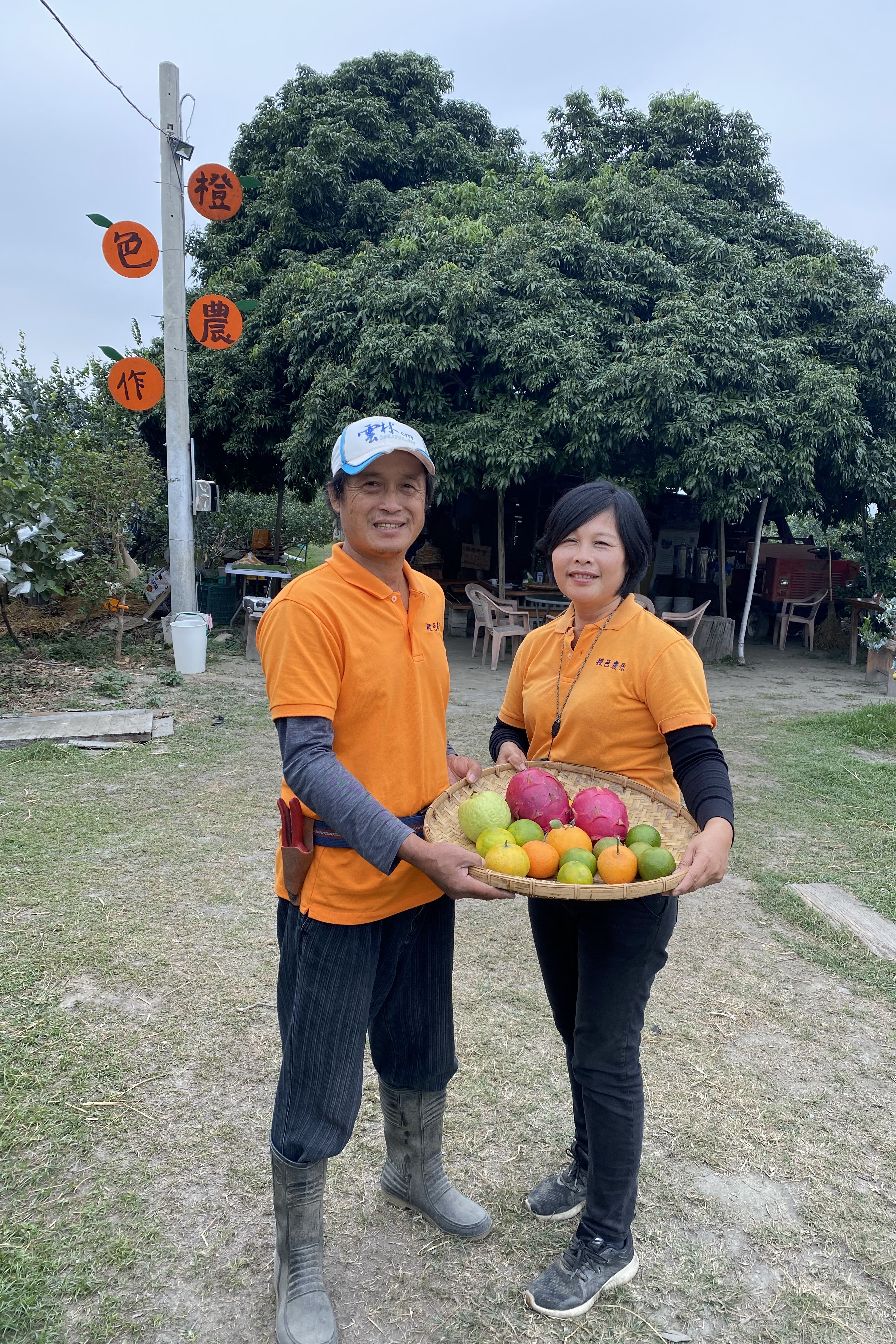 主人家夫婦林秋福、張速燕栽植水果自產自銷，背後「荔枝爺爺」是果園招牌亮點。