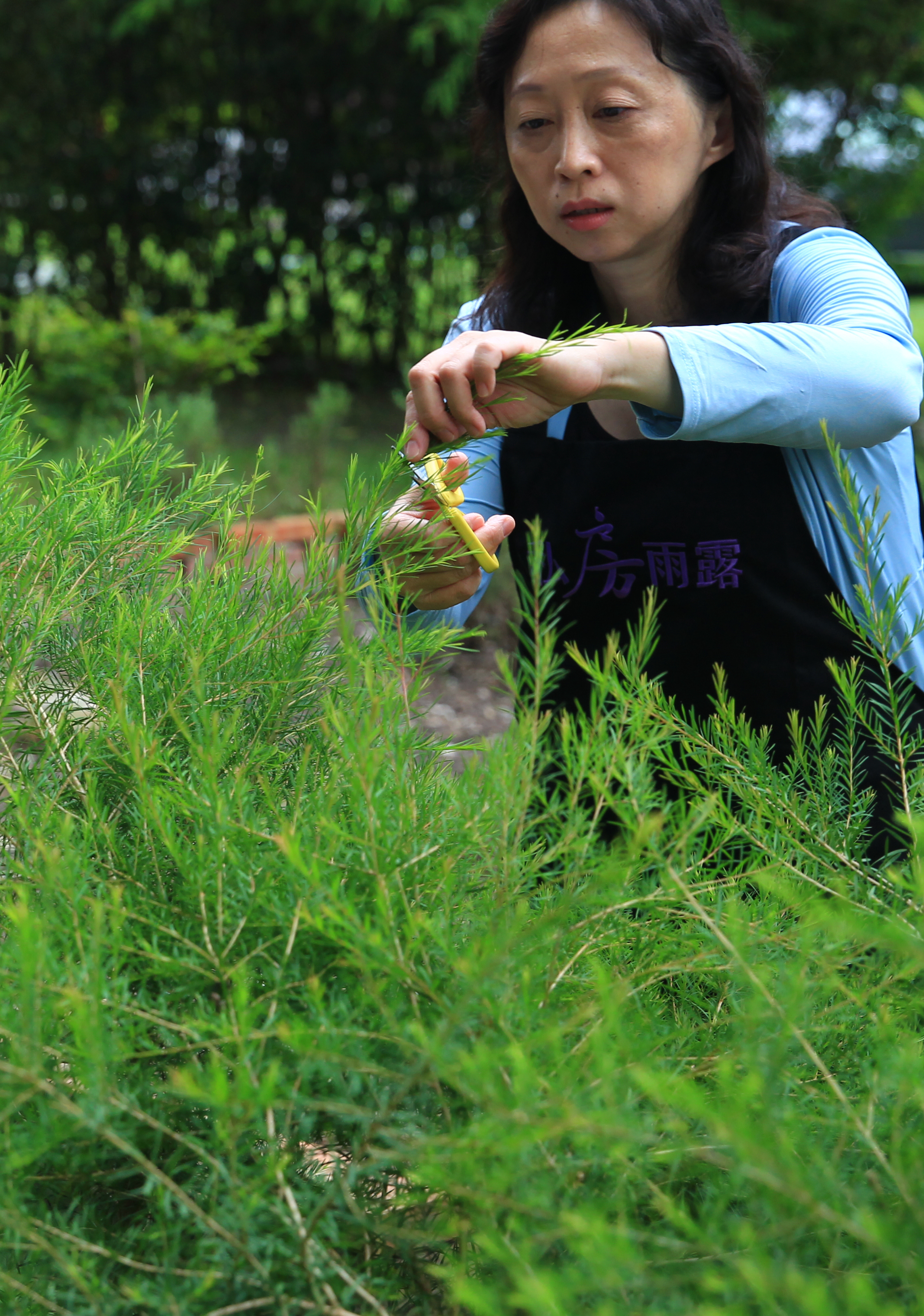 摘菜煮菜體驗田野農村生活