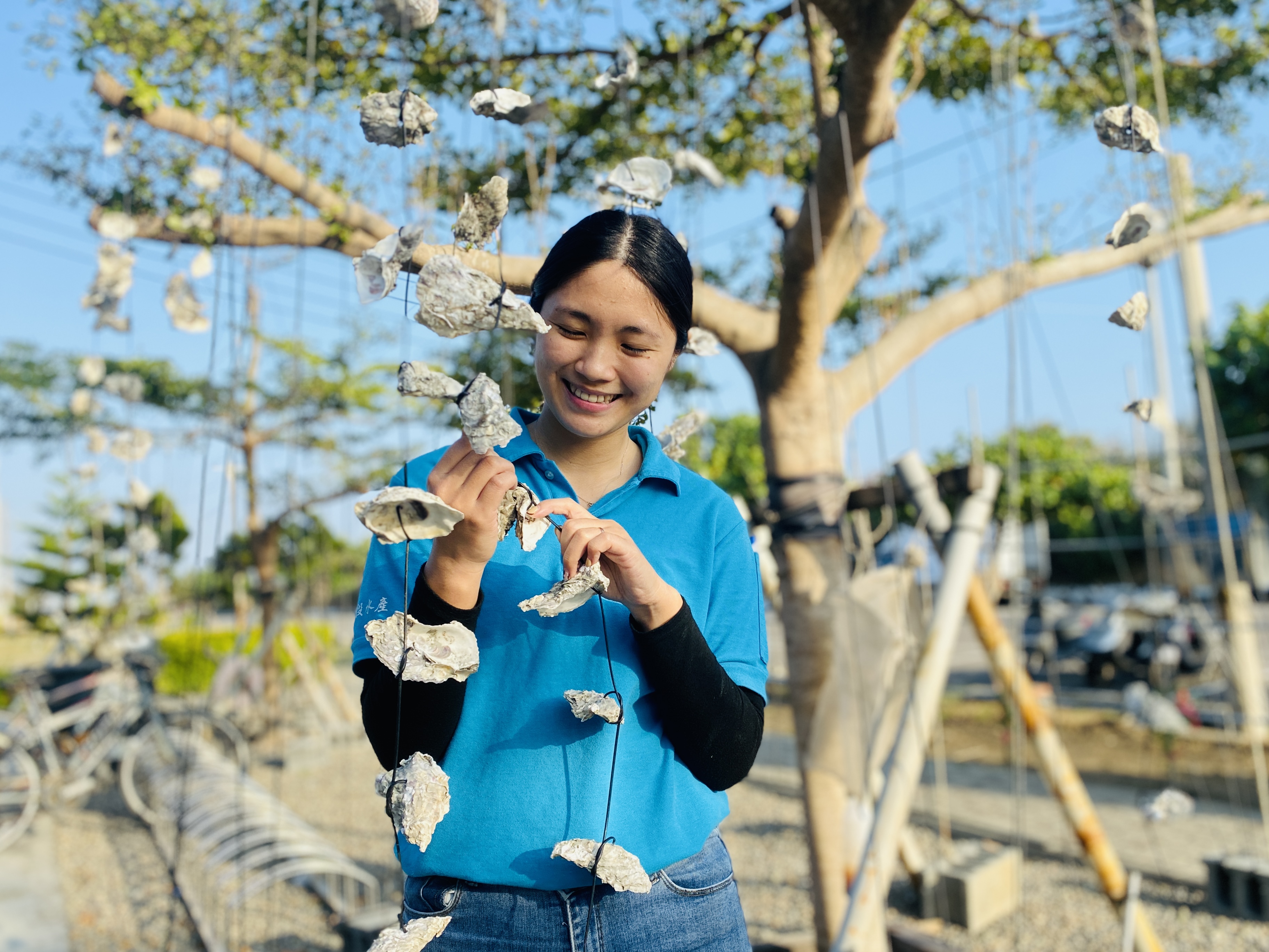 串蚵高掛枝頭，展示各式養殖法，別有浪漫氛圍。