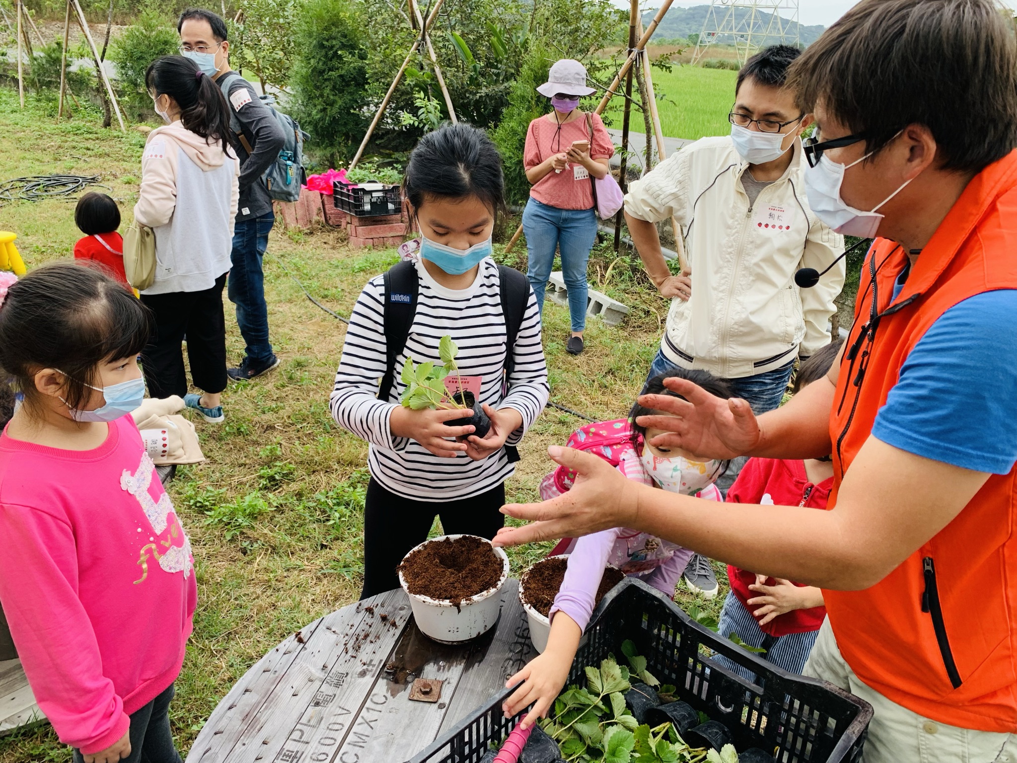 草莓盆花DIY、不定期折價券跟認養草莓園，吸引不少遊客。