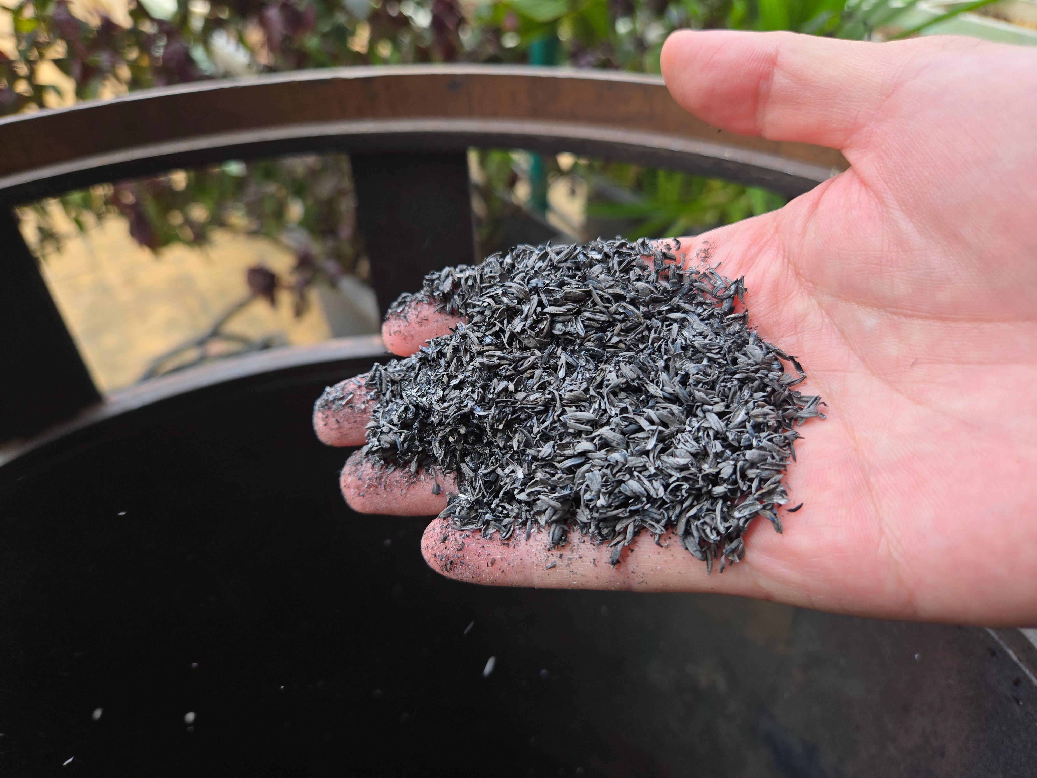 炭化稻穀混入肥料與土壤，能改善土壤酸鹼值。