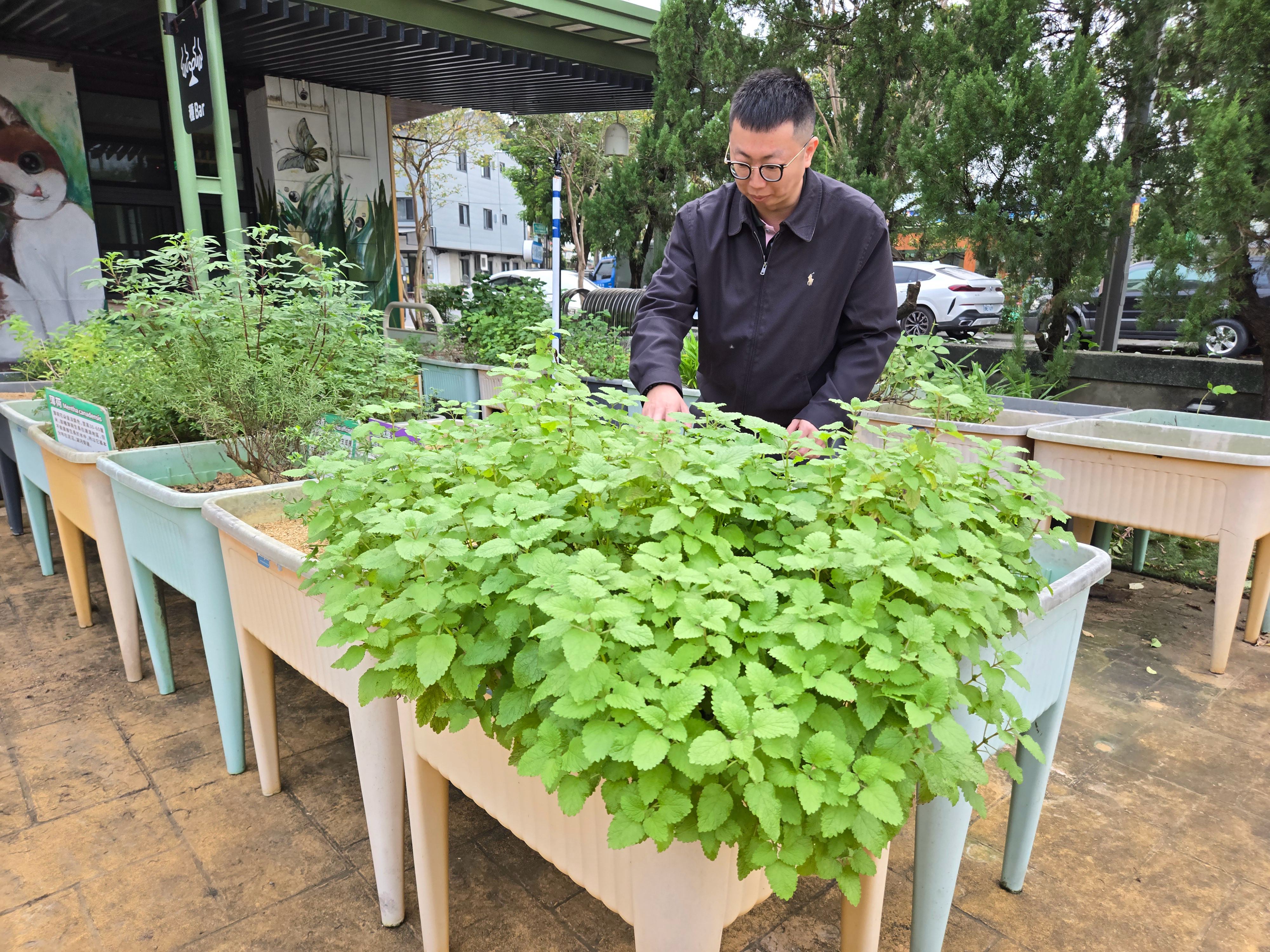 「種BAR」的高架盆器設計，讓遊客不彎腰也能體驗農事。