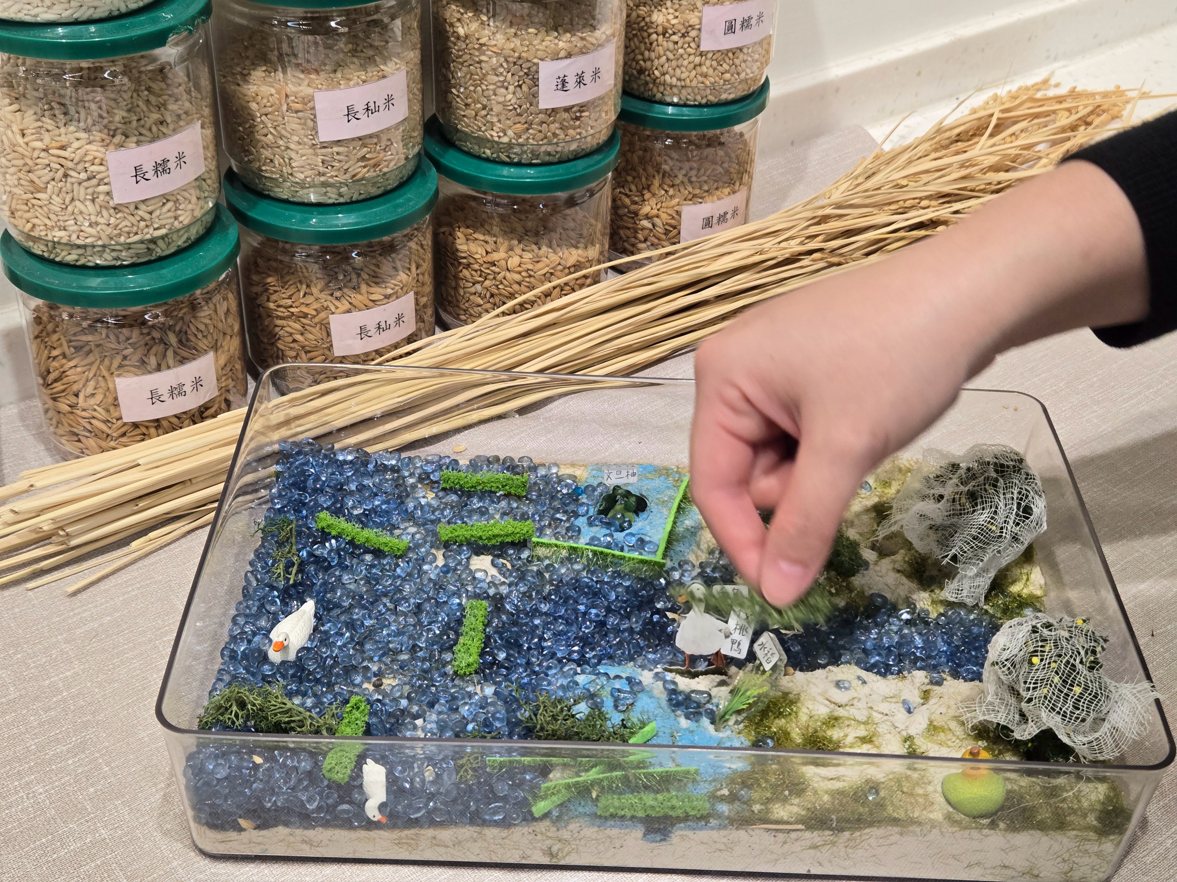 有趣的農業感官盆，加入手感體驗認識米文化。