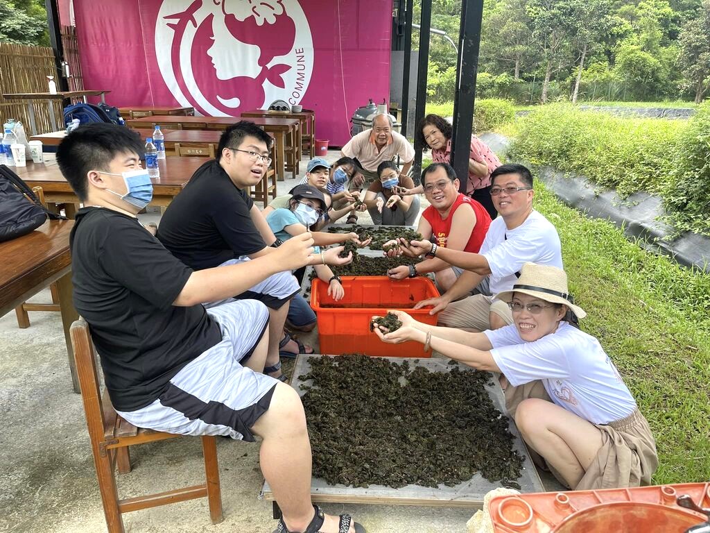 遊客動手體驗洗藻樂趣