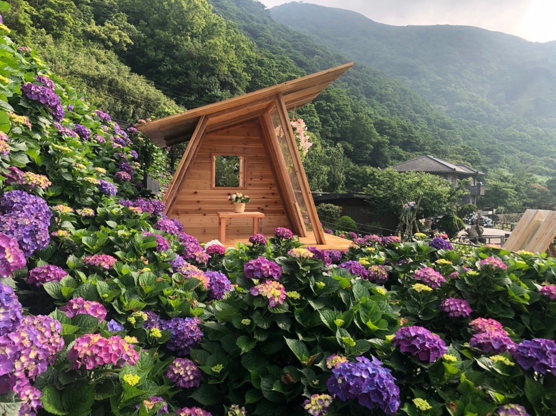 名陽─滿滿繡球花裡的造景,人人都能當網紅。