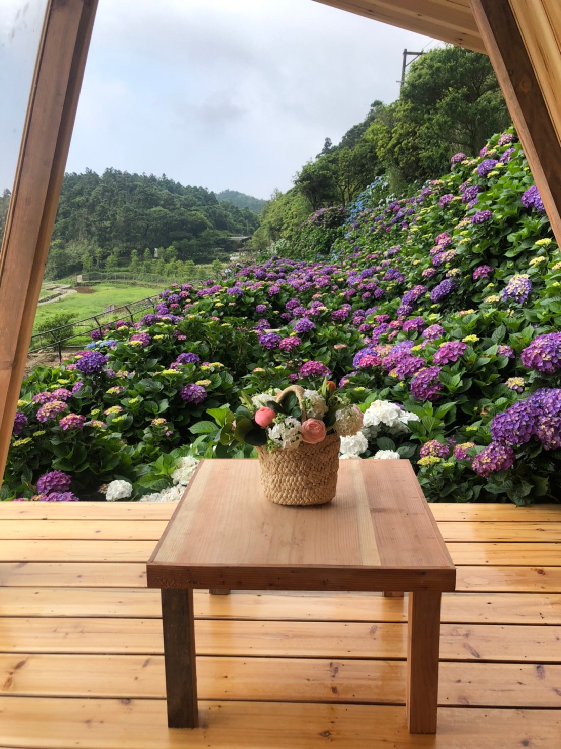 名陽─花季小憩處，也是美麗拍照點。