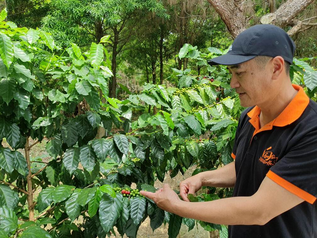向陽莊園園主導覽咖啡體驗區。