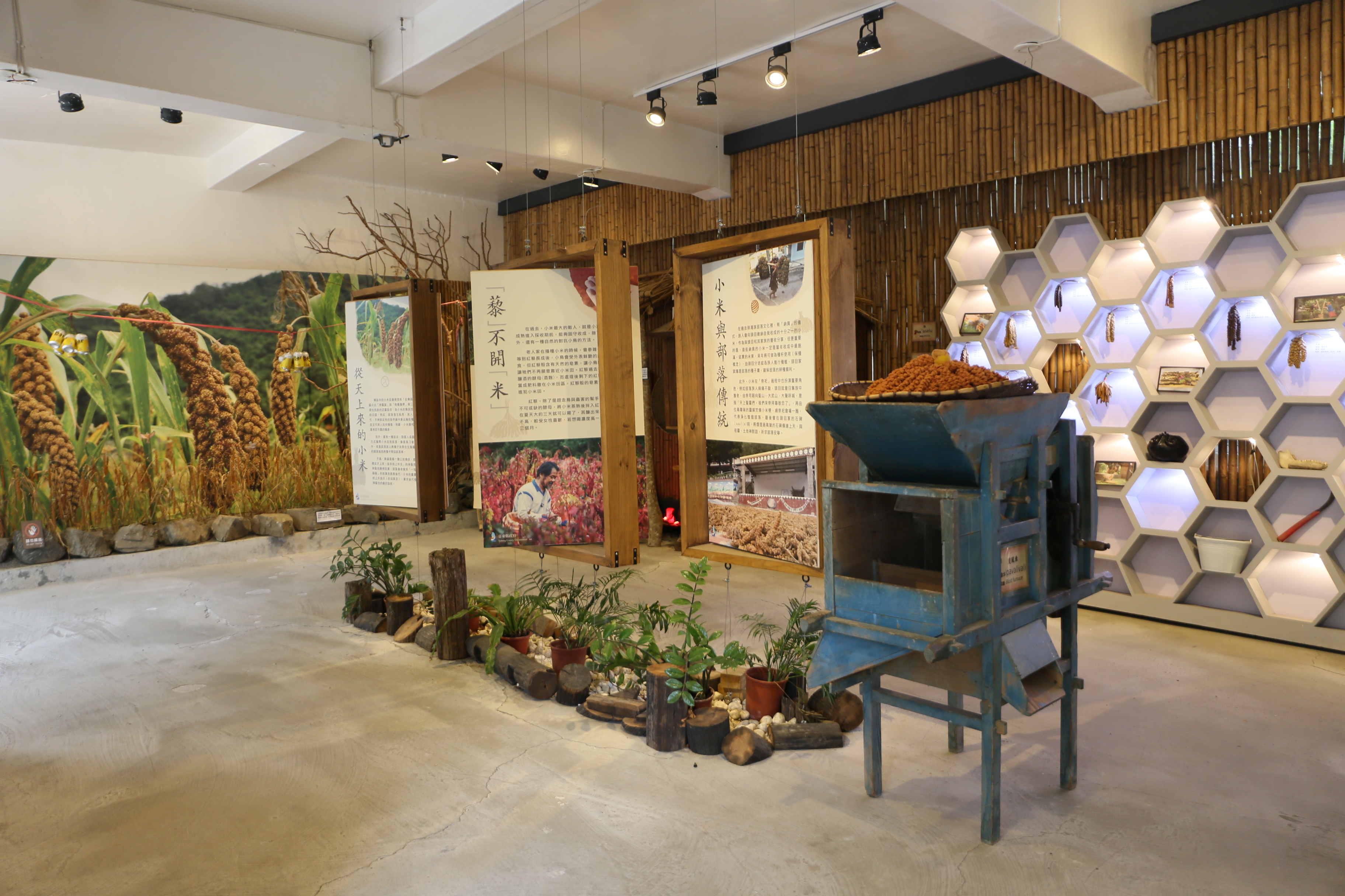 故事館中展示小米的文化故事、品種、種植方式⋯⋯等等的小米知識。