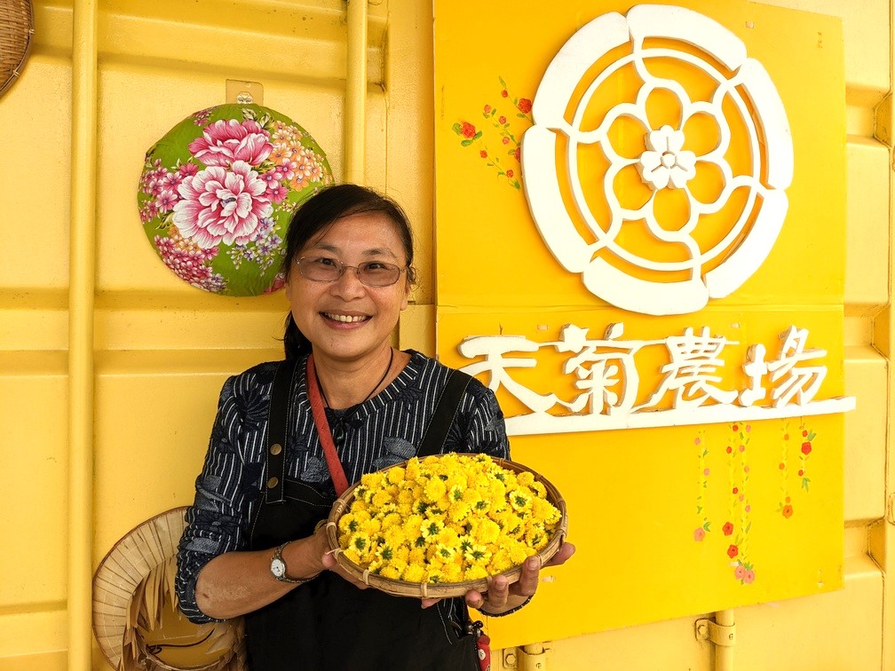 謝玉妃花了三年時間，才讓嬌貴的杭菊適應屏東熱帶氣候。