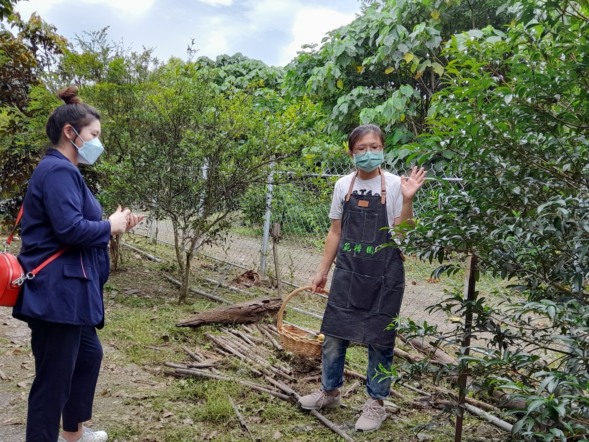 走進範樟園有機農場，用眼睛看、鼻子聞，親近植物，親身感受新鮮香氛的氣味與能量。