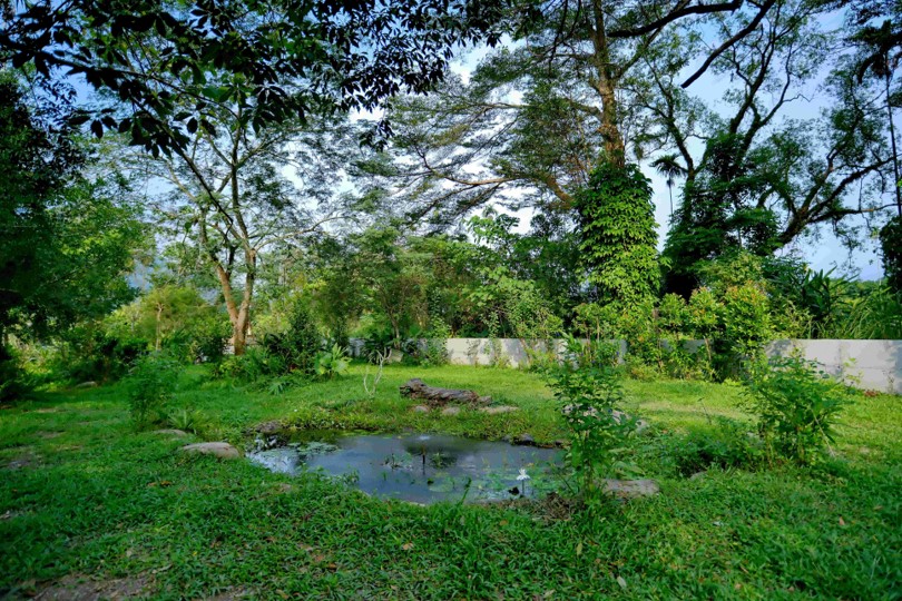 「多多鳥濕地學校」景觀，放眼望去都是生態池與各式樹木，綠意盎然。